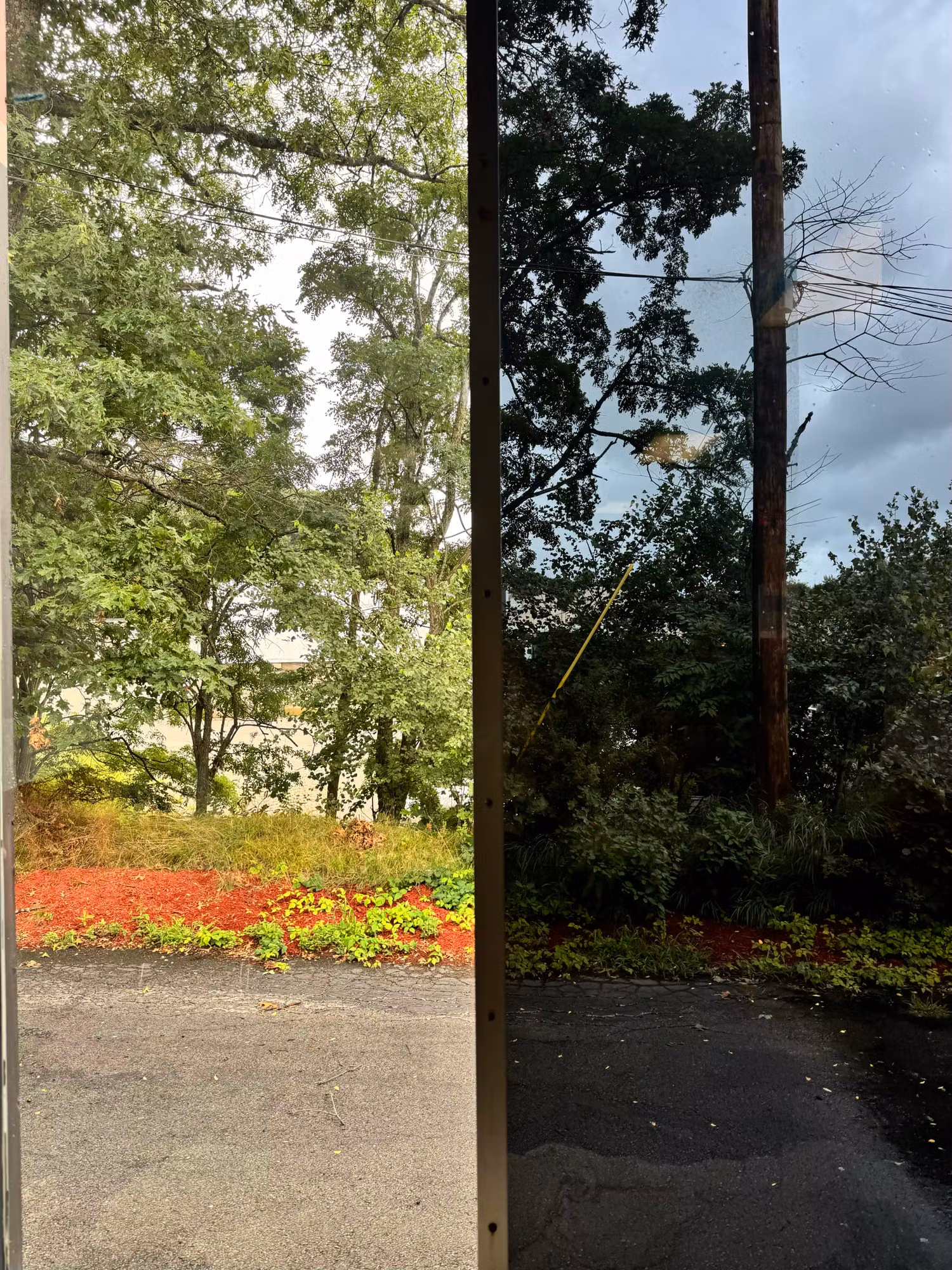 View out through a darkened storefront glass panel showing trees and landscaping, with window film reducing glare.
