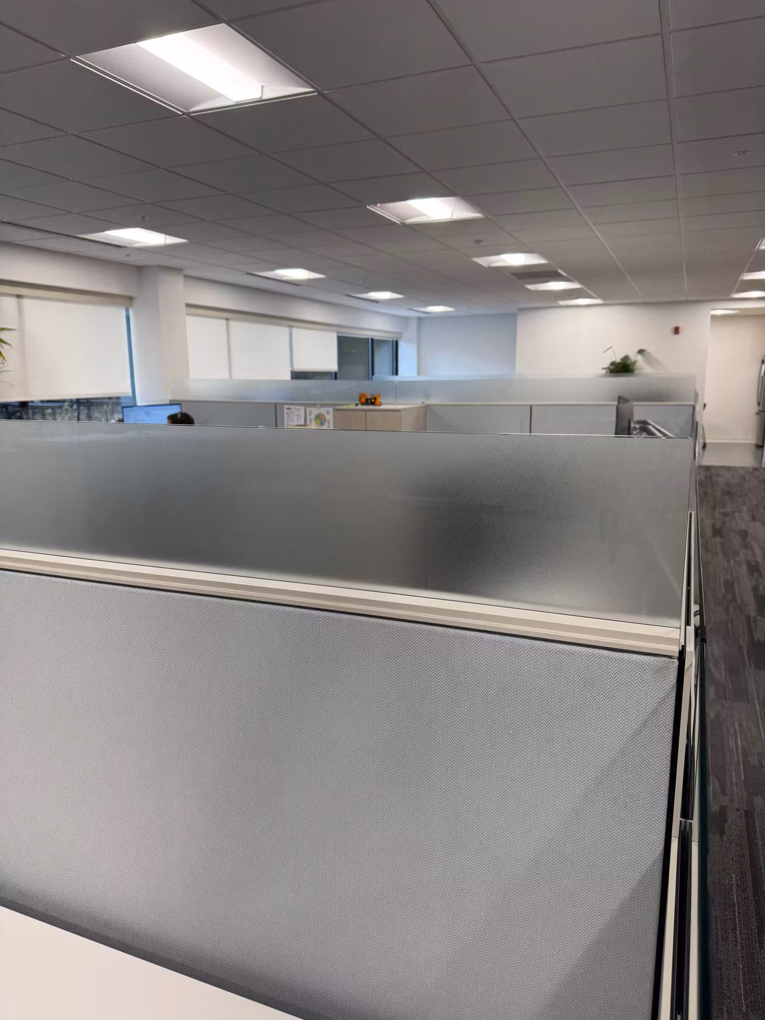 Frosted privacy film applied to glass partition panels atop cubicle workstations in an open-plan office.