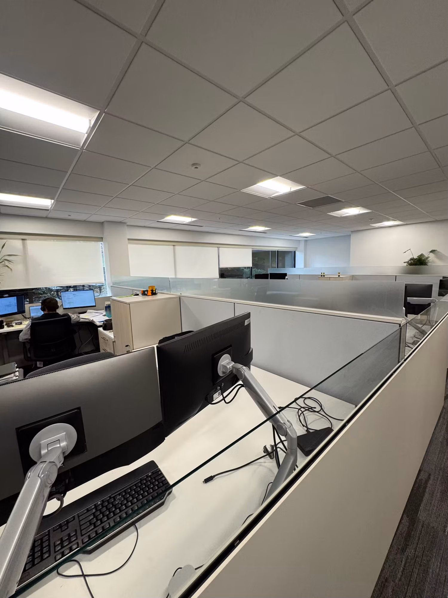 Open-plan office workspace with cubicles and desks beside a row of perimeter windows under bright lighting.