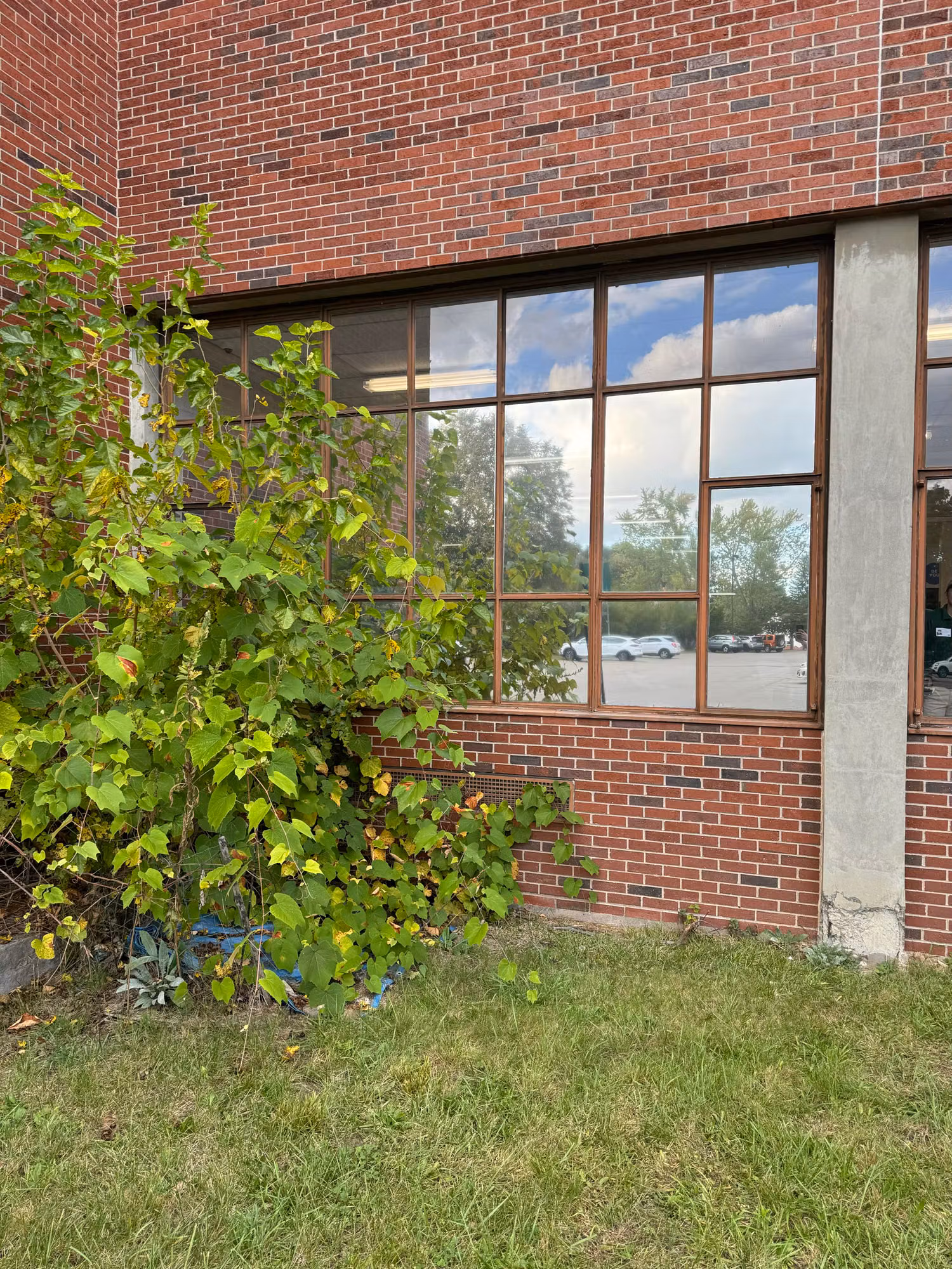 Exterior brick building cafeteria window with reflective solar control film mirroring sky and parking lot.