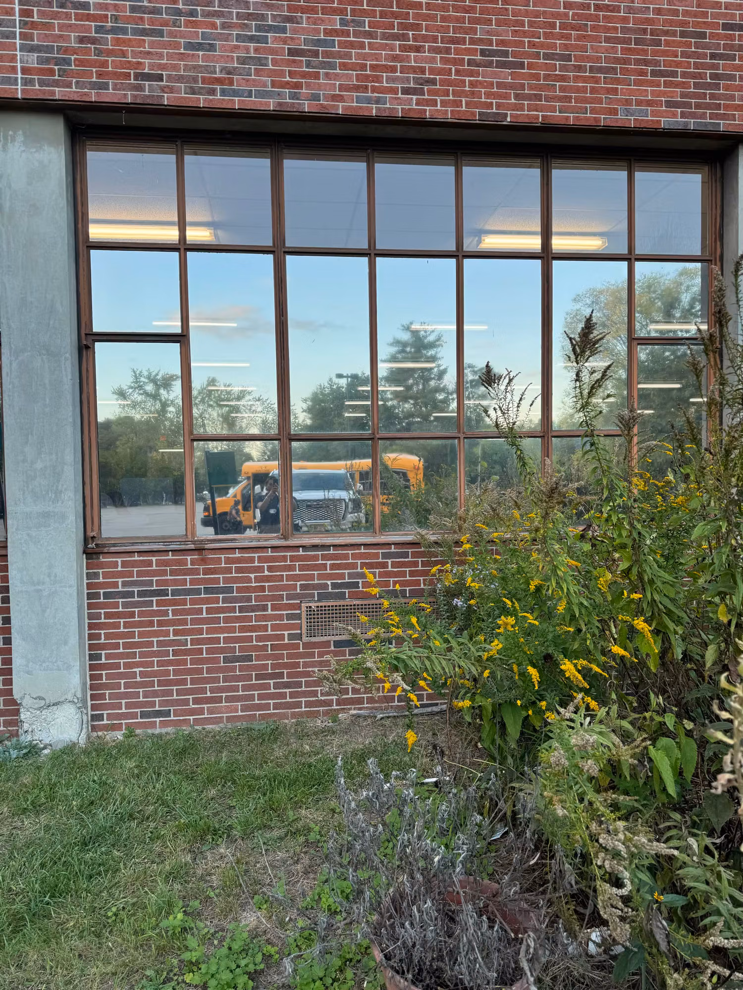 Tall gridded school window framed in brick, its solar film reflecting open sky, trees and a school bus.
