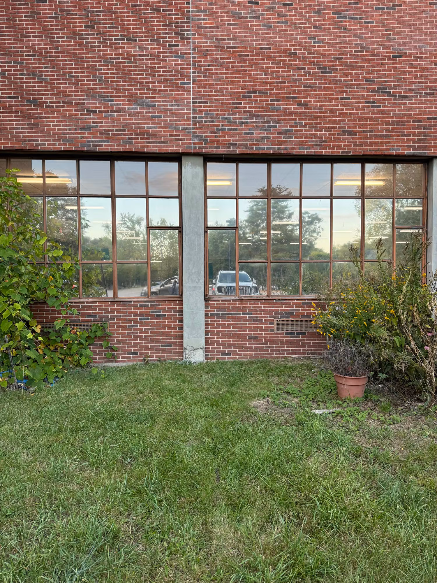 Gridded school windows set in red brick, reflective film mirroring trees and parked vehicles outside.
