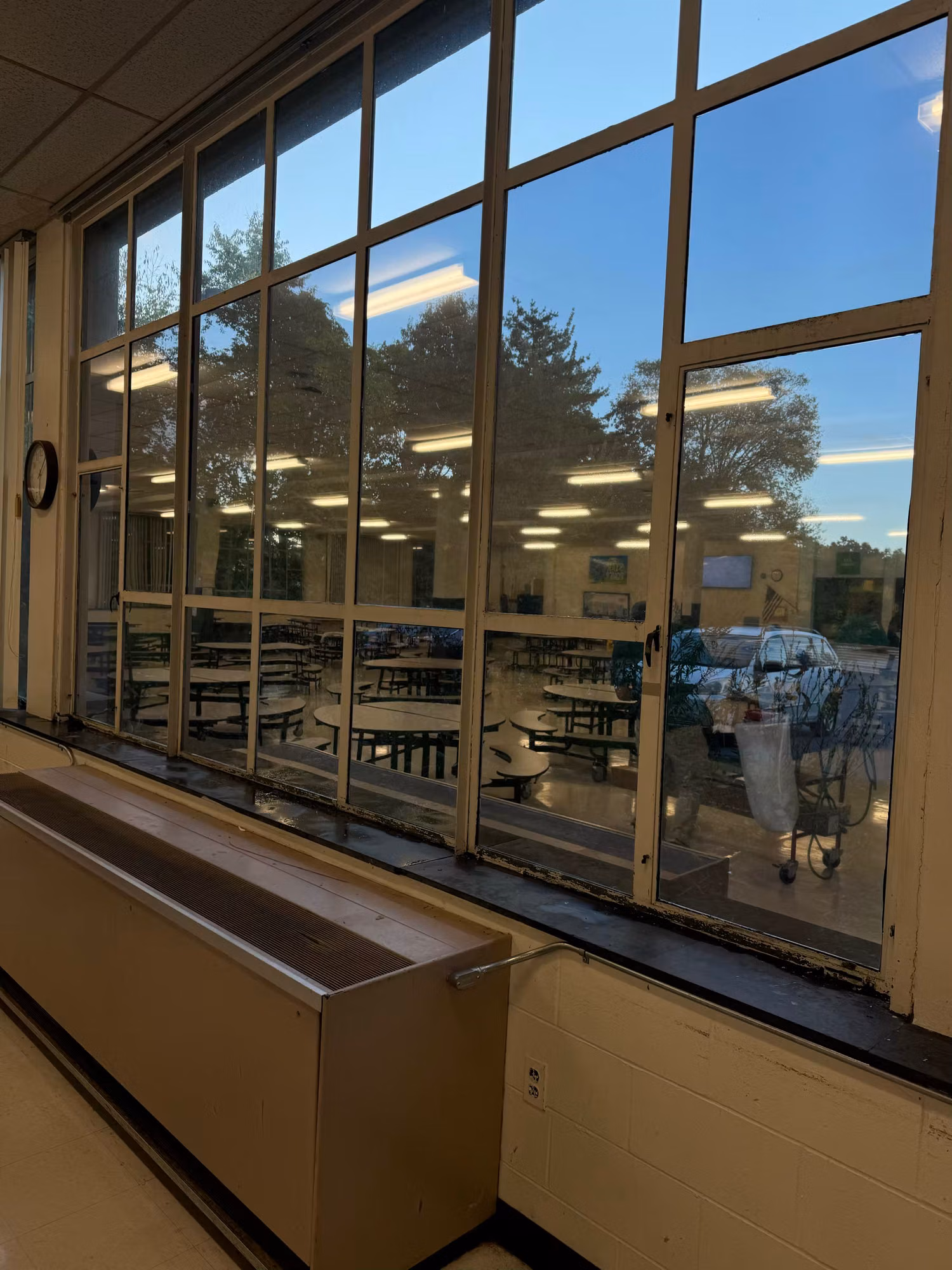 Cafeteria window wall fitted with solar control film, dining tables and reflected daylight visible through the tinted glass.