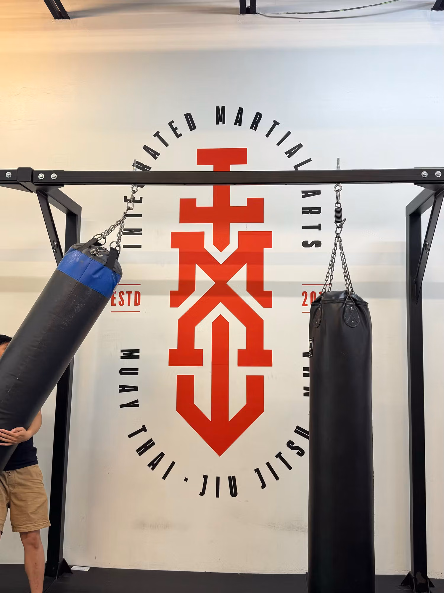 Large cut-vinyl martial arts logo graphic applied to an interior gym wall behind hanging heavy bags.