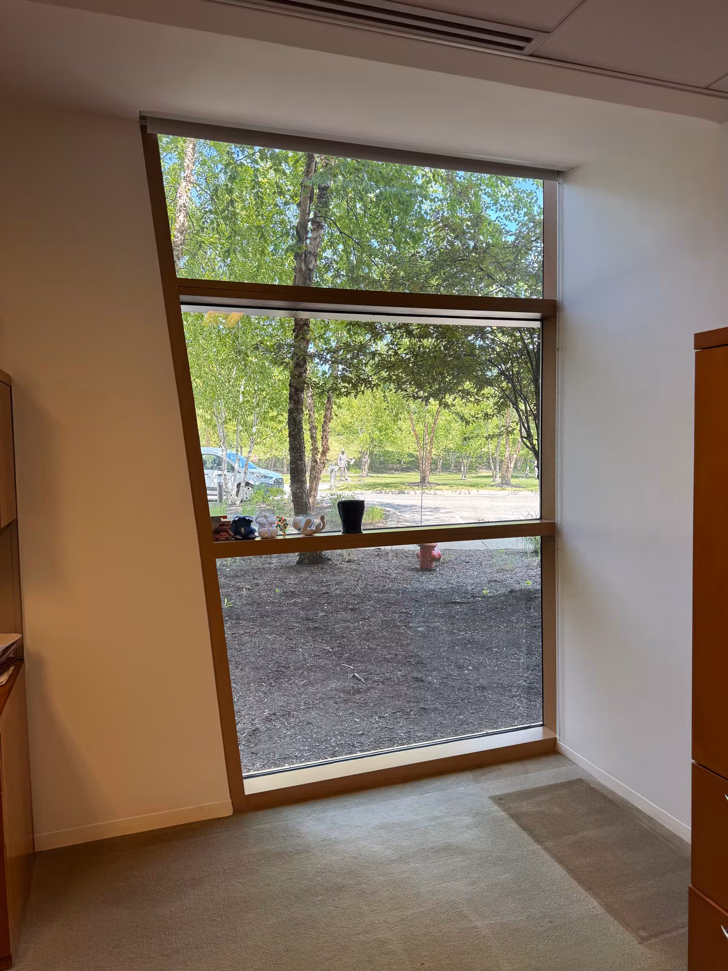 Tall floor-to-ceiling office window with solar control film overlooking trees and the building grounds.