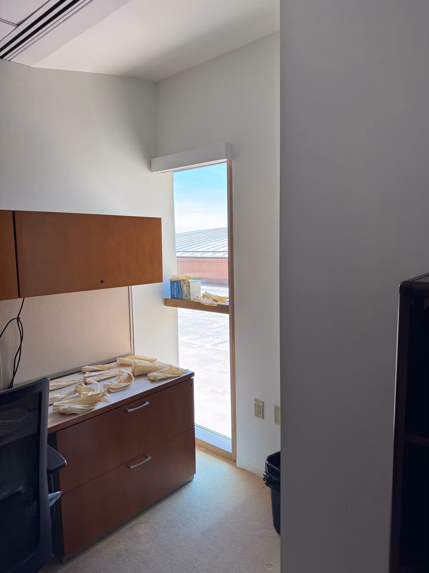 Office storage nook with a cabinet beside a tall narrow window letting bright daylight onto the glass.
