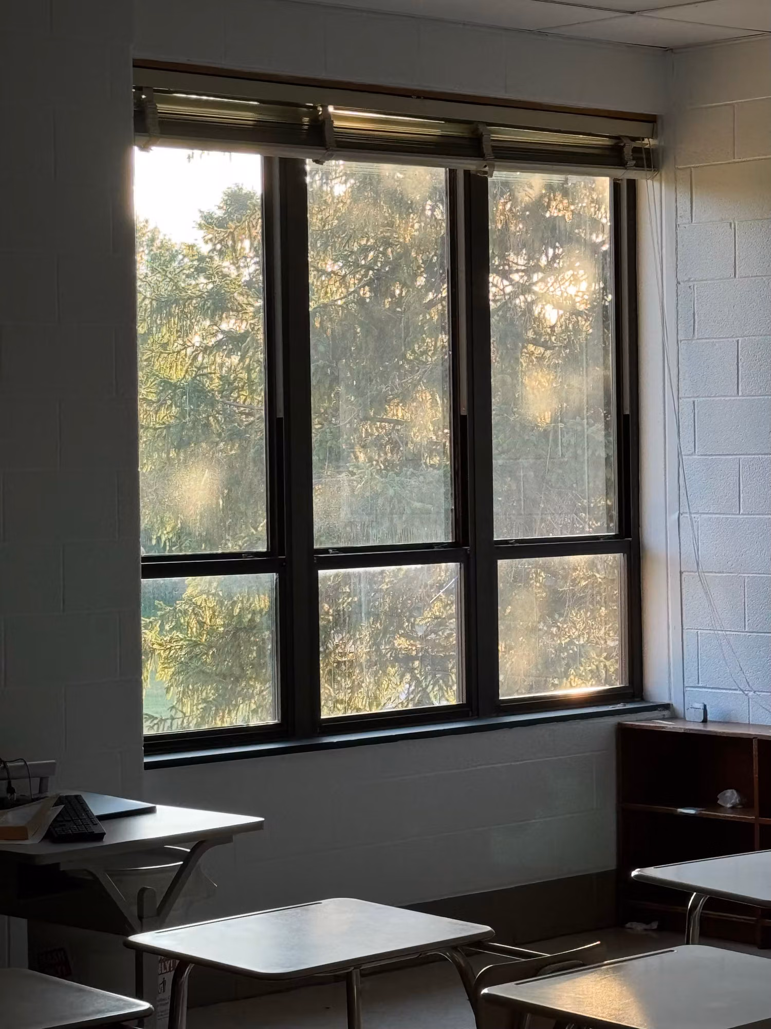 Classroom windows backlit by sunlit trees with student desks arranged in the foreground.