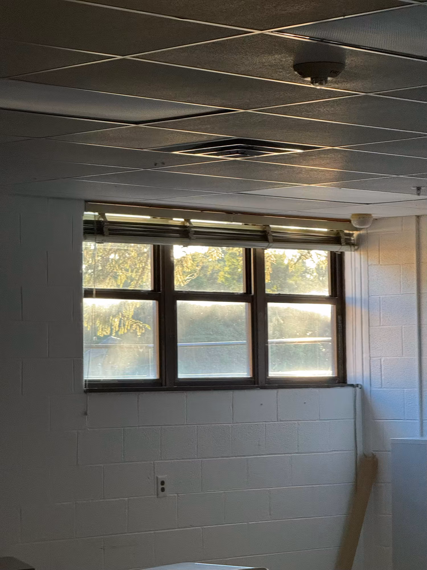 Classroom window with three glass panes set in a cinderblock wall, daylight filtering in from the trees outside.