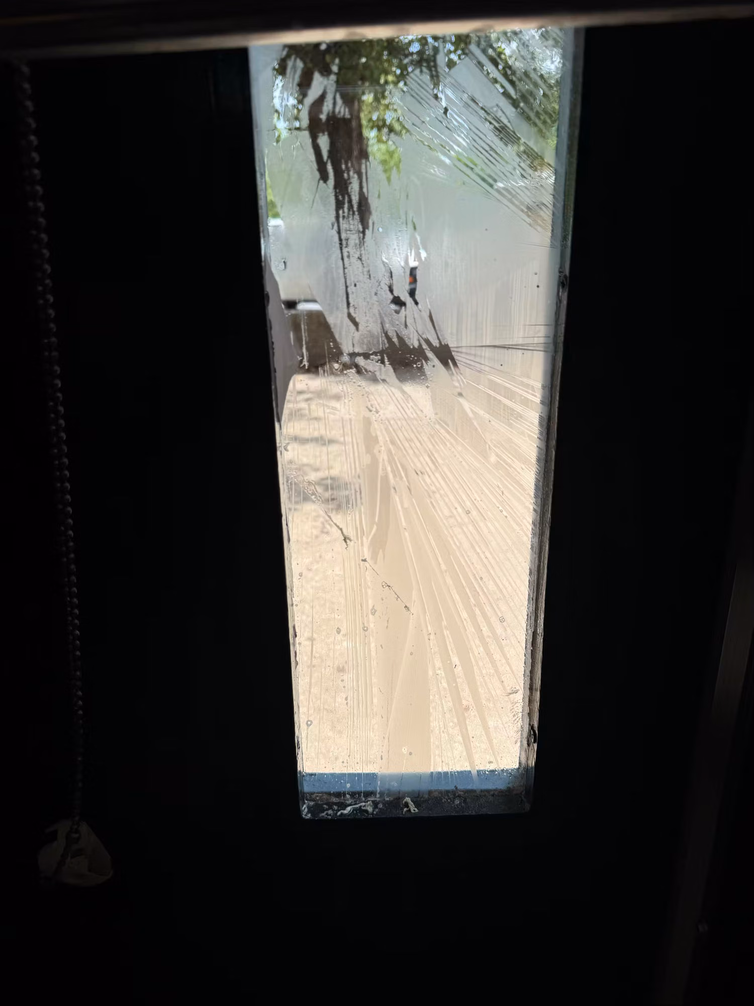 Tall narrow window with film being applied to the glass, the wet membrane catching light over a sunlit exterior view.
