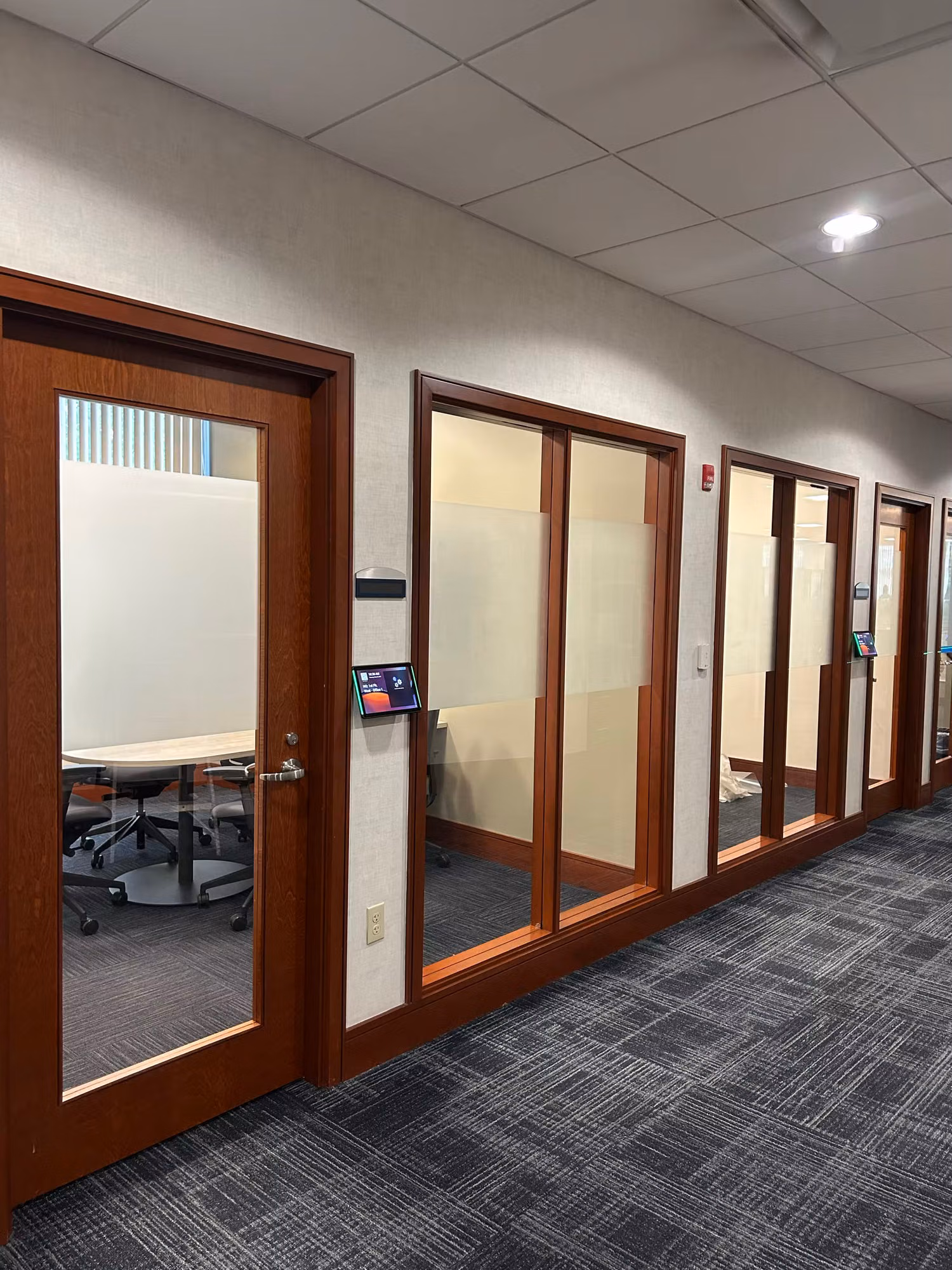 Office hallway lined with wood-framed glass partition doors finished with frosted privacy bands into meeting rooms.