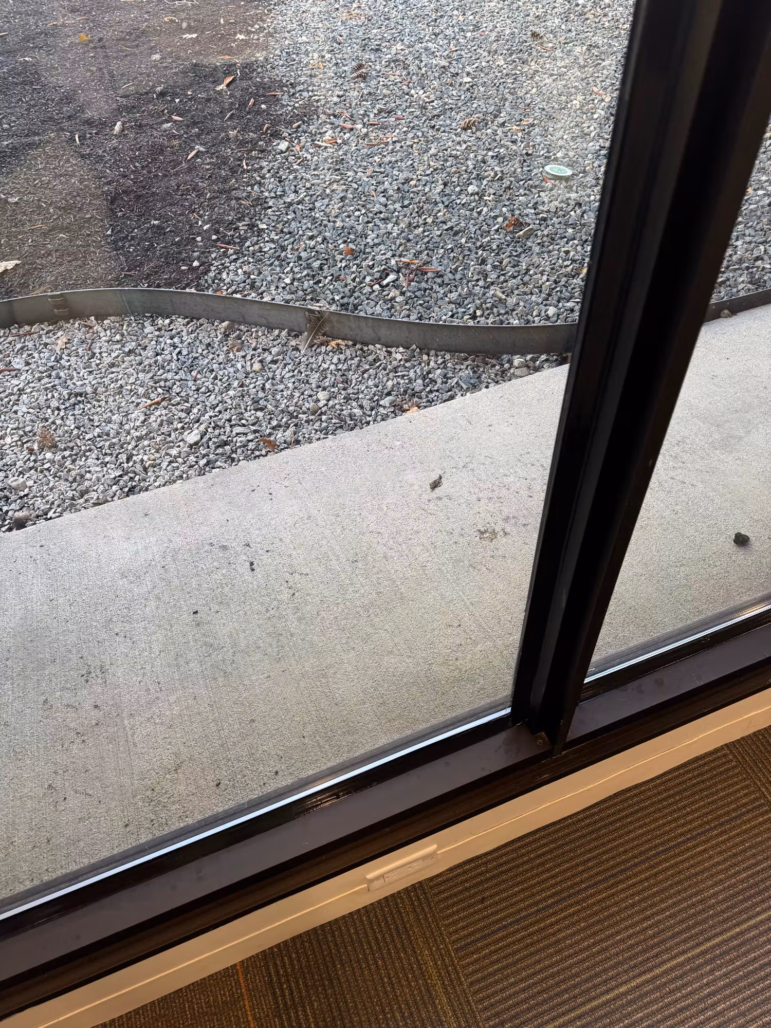 Lower corner of a commercial window with tinted glass and dark frame overlooking a concrete walkway.