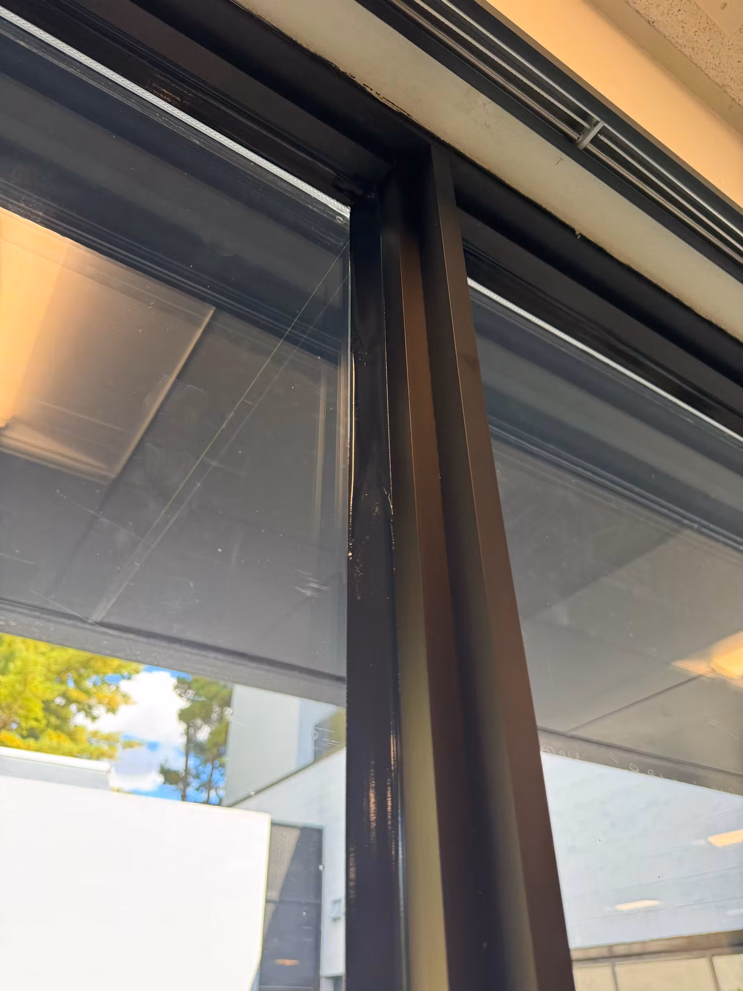 Upper corner of a dark-framed commercial window with installed window film and a roller shade visible behind the glass.