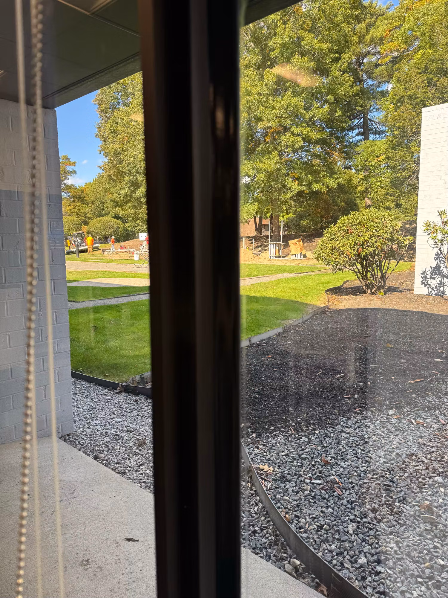 Floor-to-ceiling office window framed in dark metal looking out to a sunlit lawn and landscaped grounds.