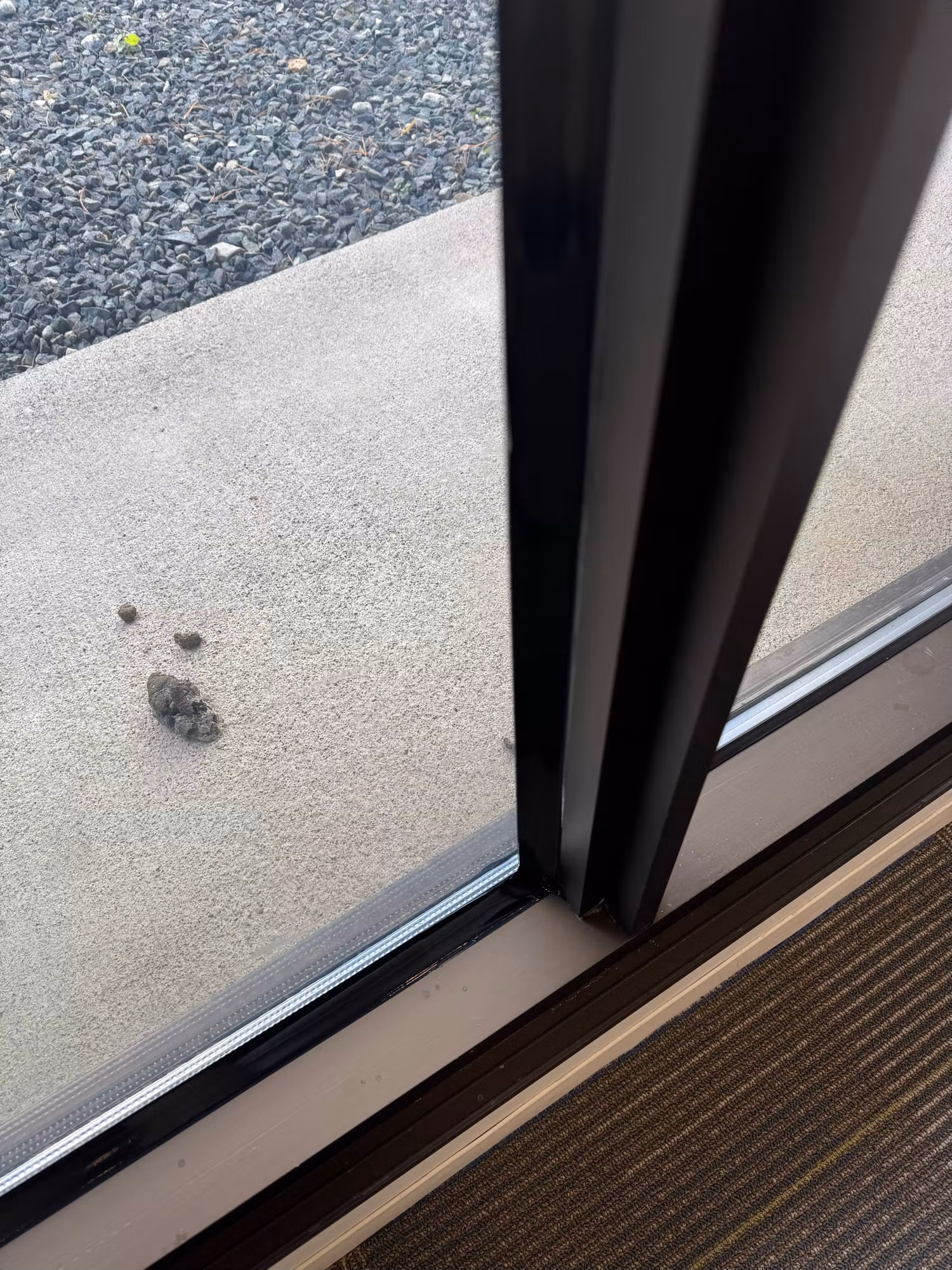 Interior view of an office sliding glass door and dark frame looking out to a paved walkway after film work.