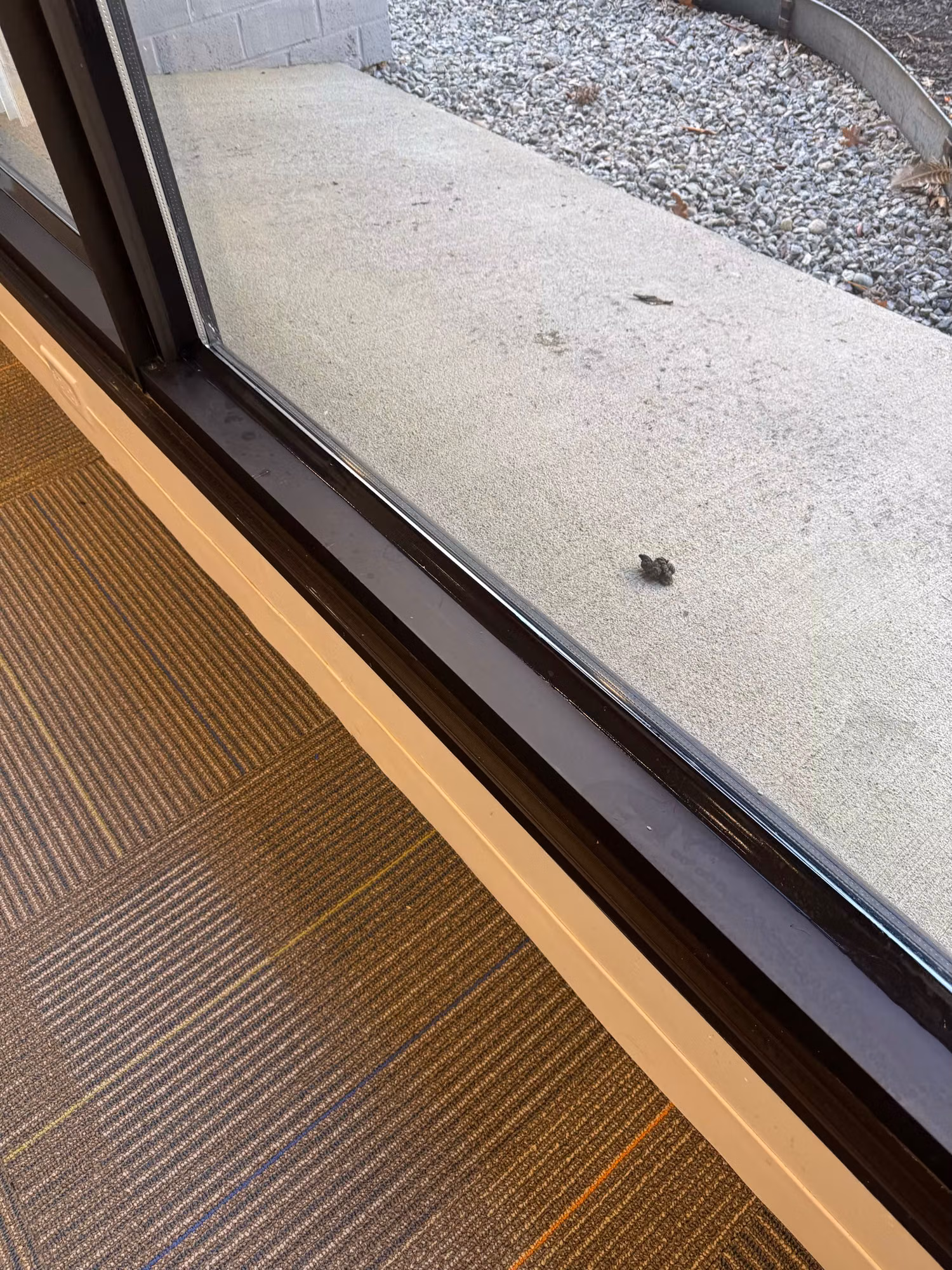 Bottom edge of a floor-to-ceiling office window above carpet, showing a clean window film seam along the dark frame.