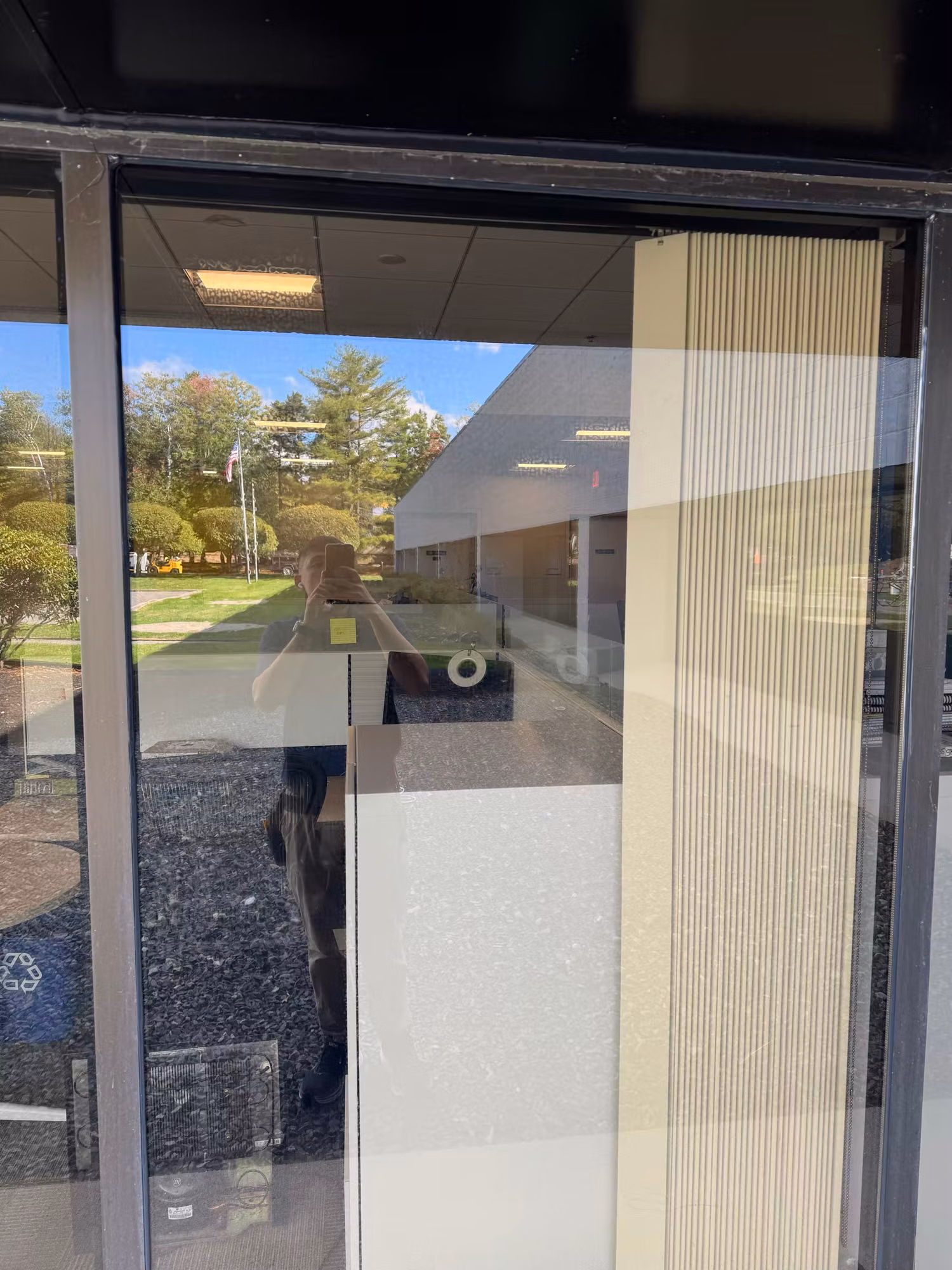Commercial storefront glass with a frosted translucent privacy panel and reflections of the building exterior and trees.
