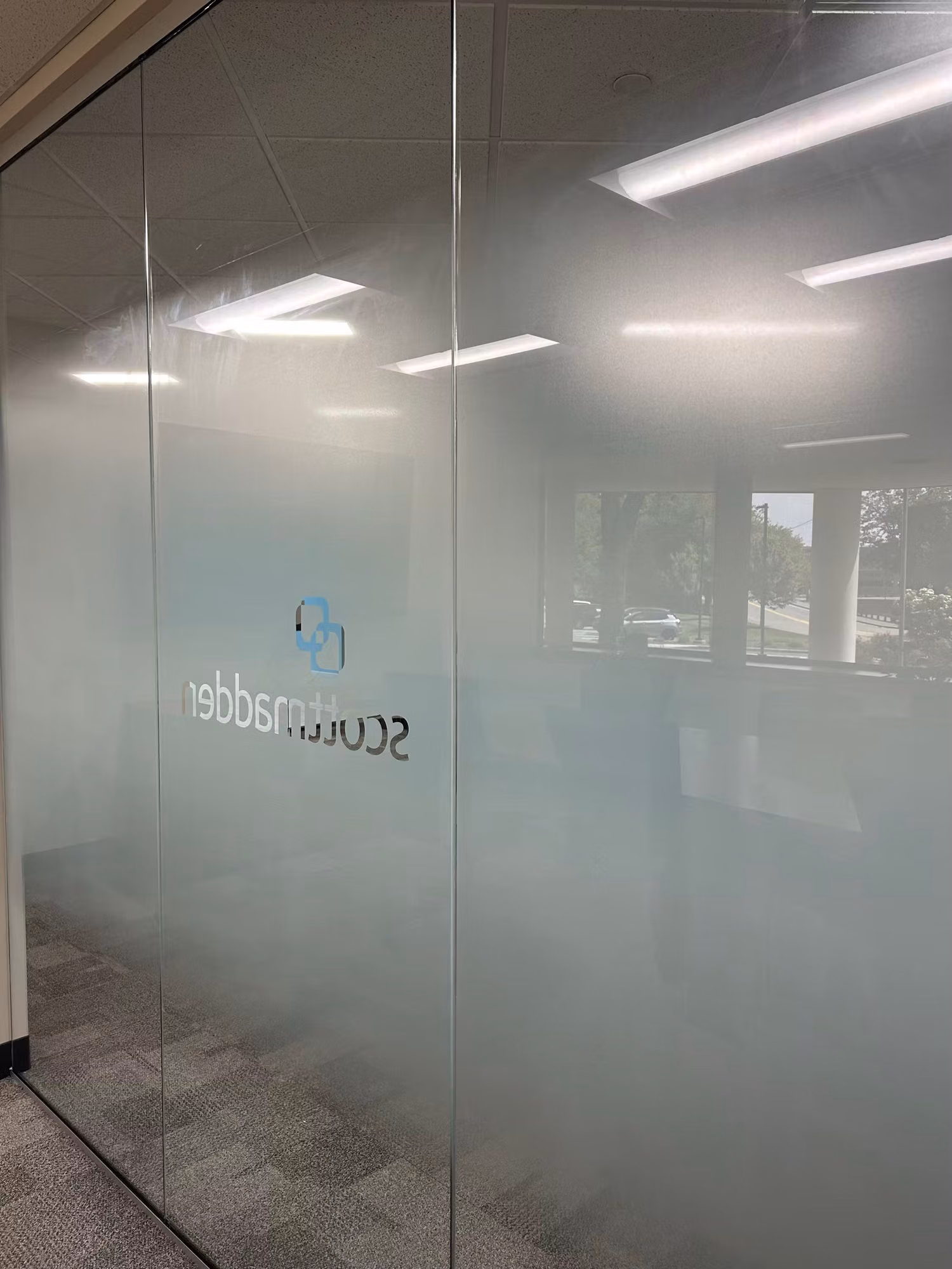 Glass partition wall finished with a gradient frosted privacy film softening views into the adjacent office.