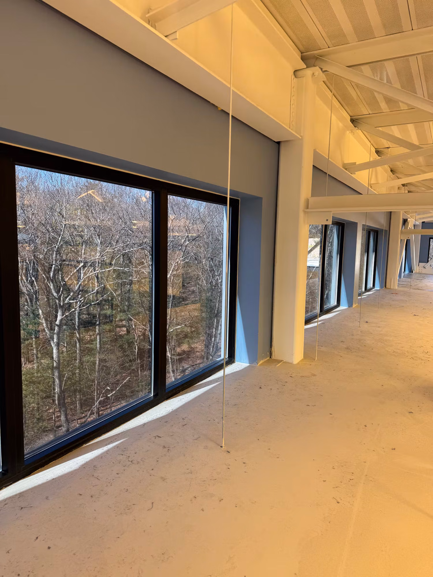 Upper-floor commercial corner window wall overlooking a bare winter tree line during building fit-out.
