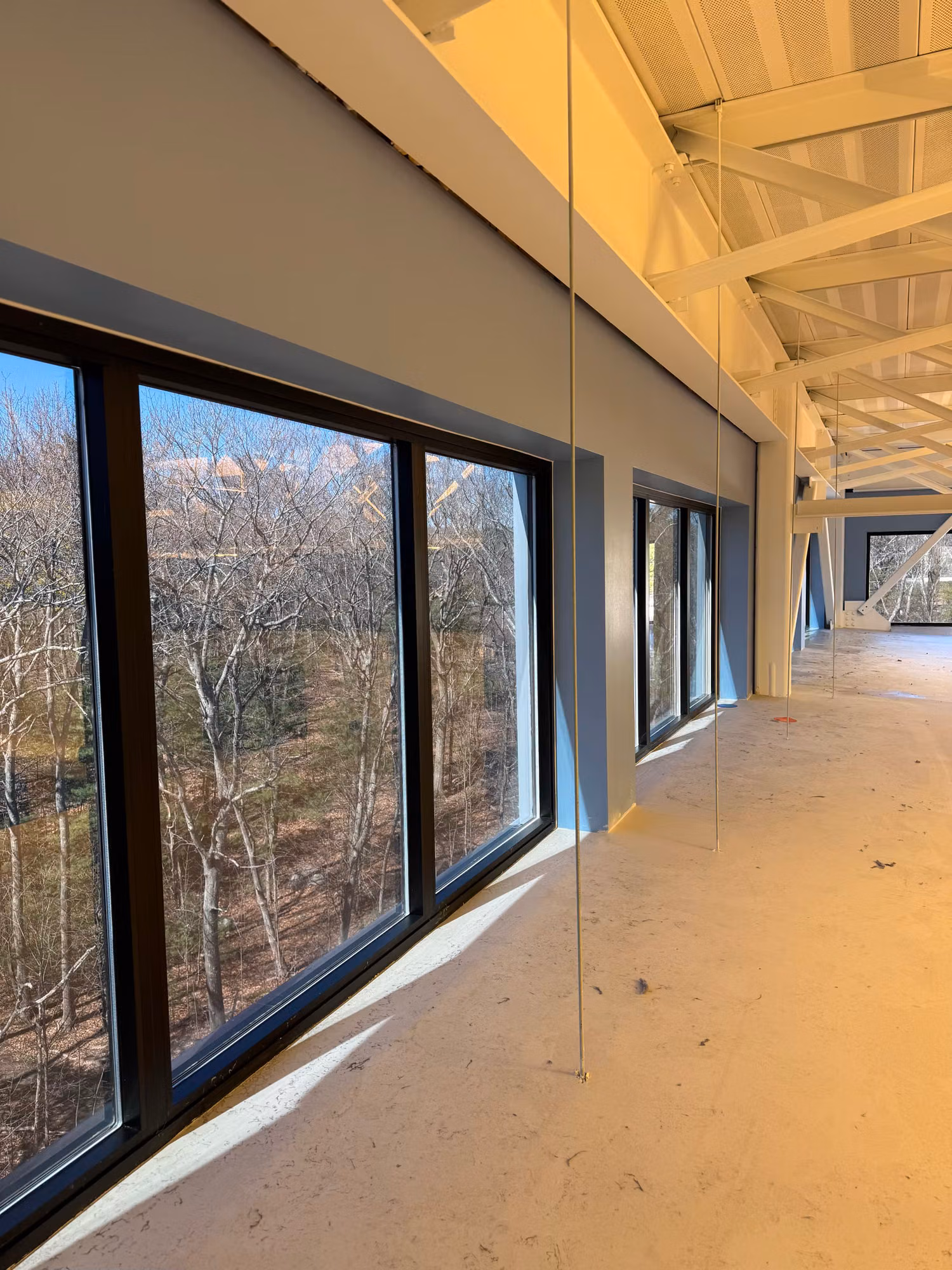 Long corridor lined with large black-framed windows overlooking a bare winter forest.