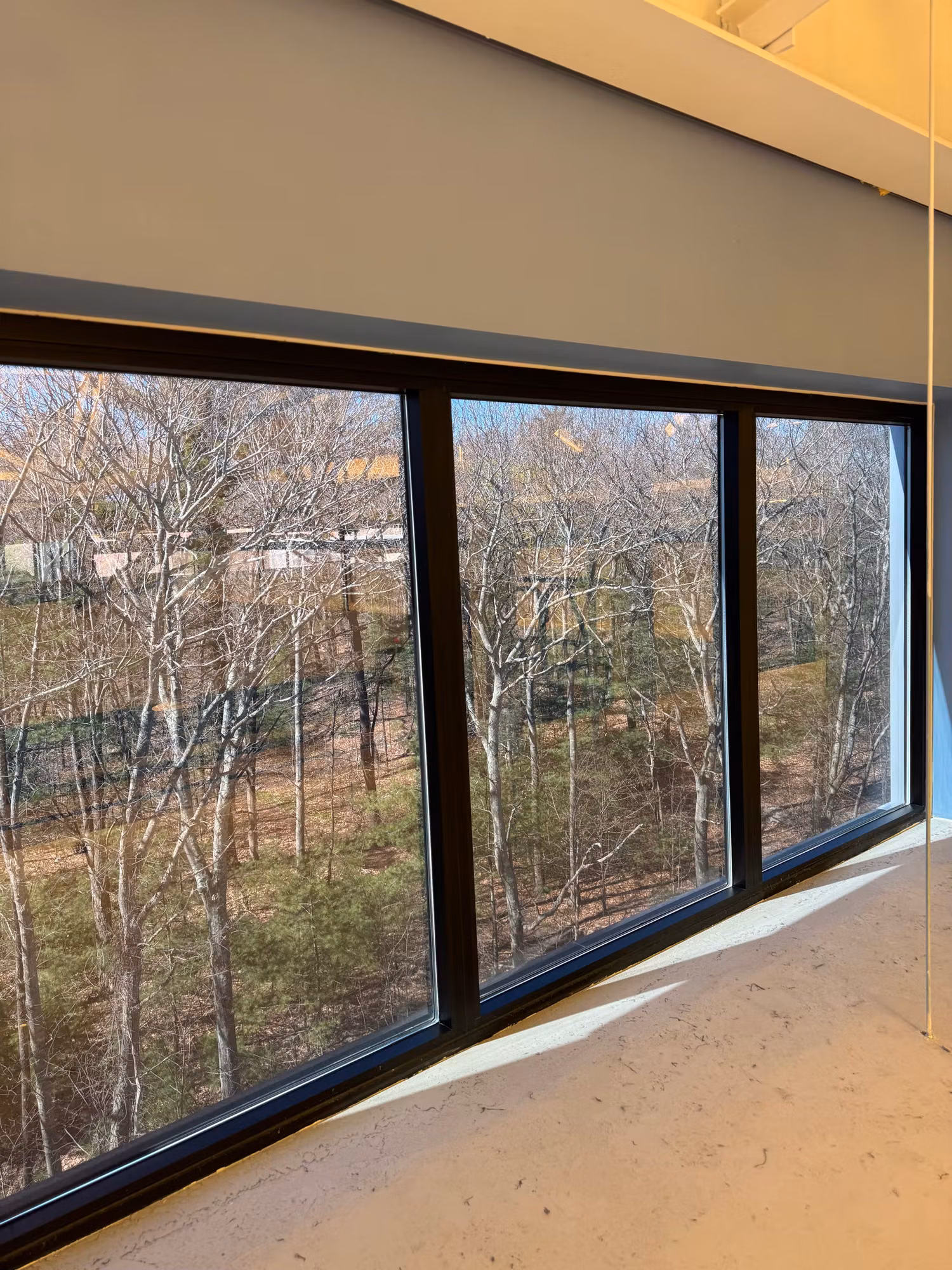 Three large fixed window panes in a black frame looking out over wooded grounds in winter.