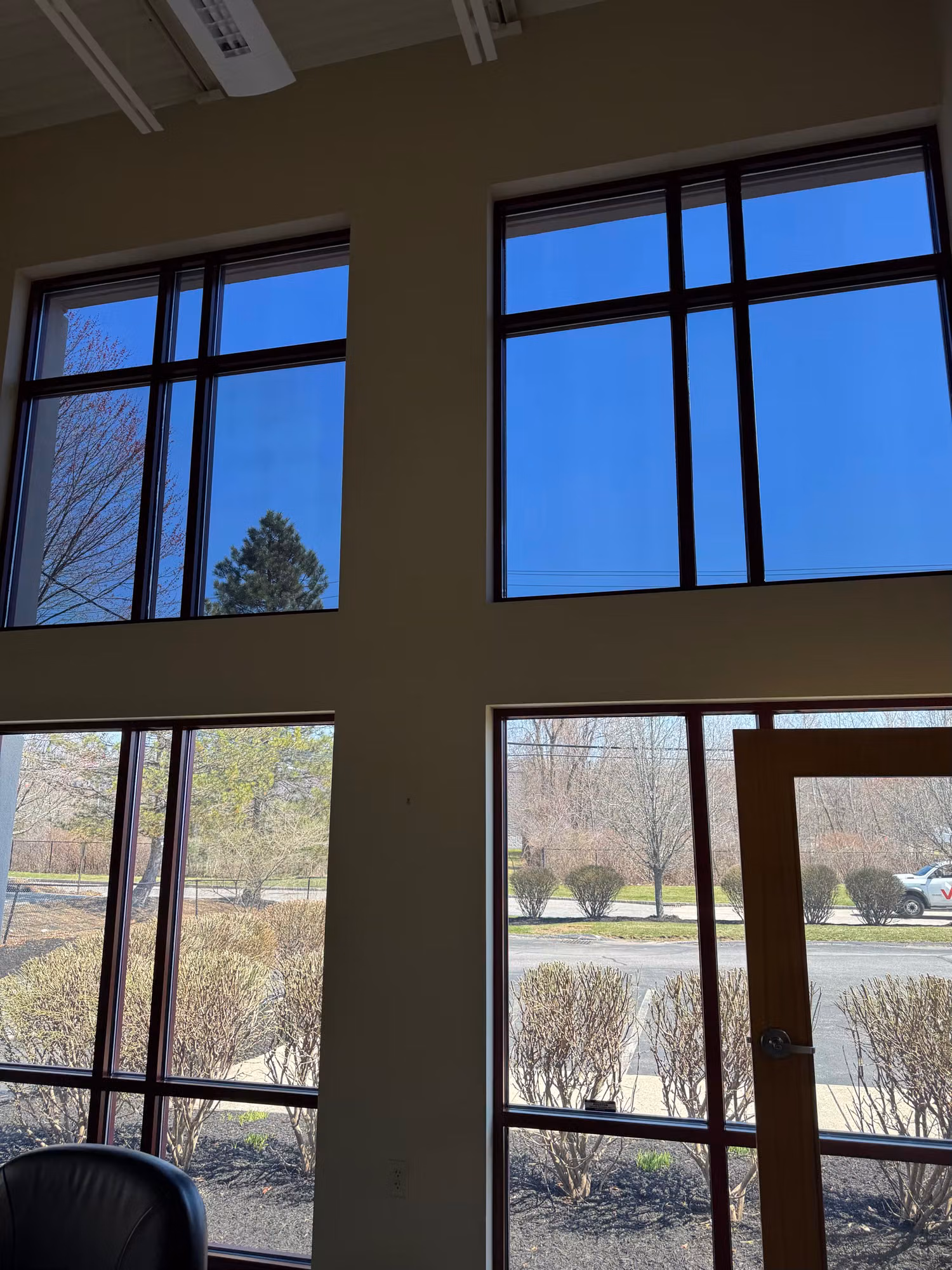 Tall dark-framed commercial windows with window film softening daylight and the view of trees outside.