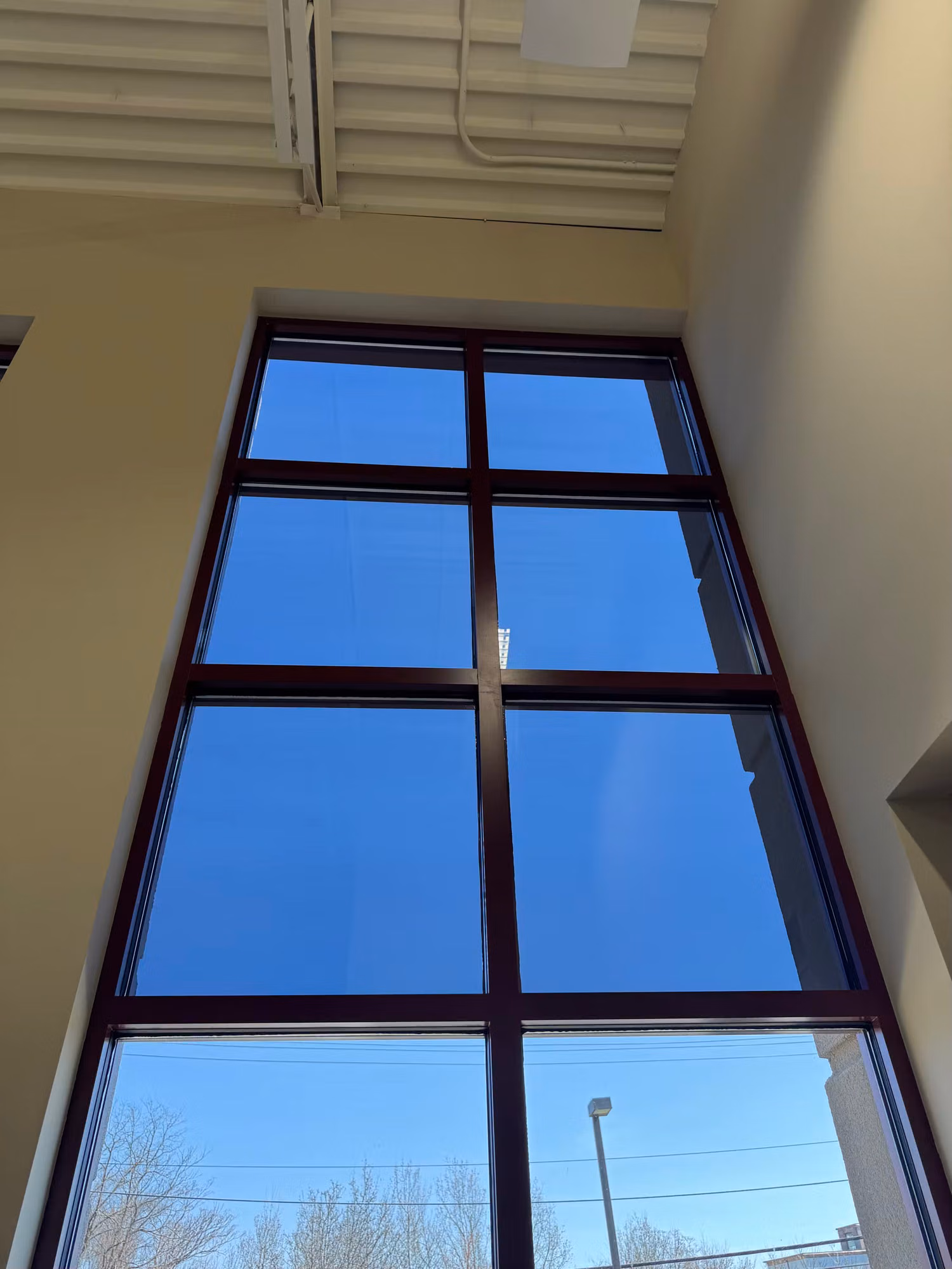 Tall grid of dark-framed commercial windows fitted with film to manage daylight and glare indoors.
