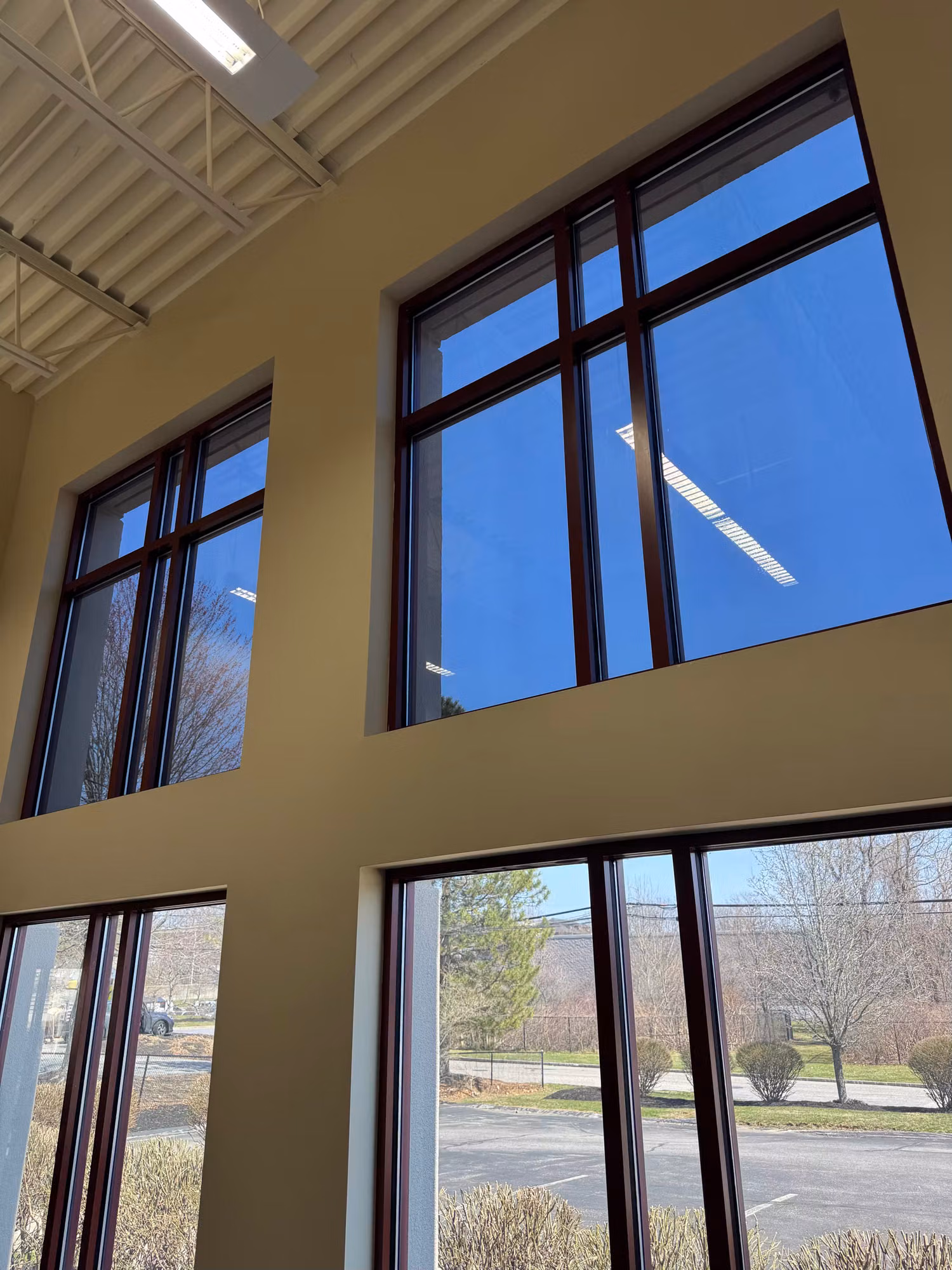 Corner of a commercial space with stacked windows carrying window film over a sunny parking lot view.