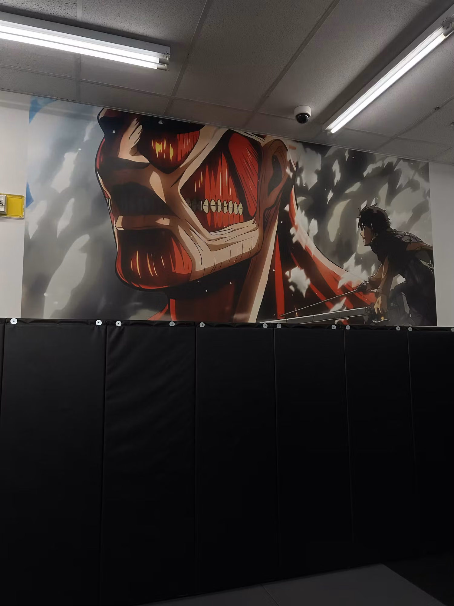 Large full-color printed wall mural installed above black panels in a martial arts training gym.