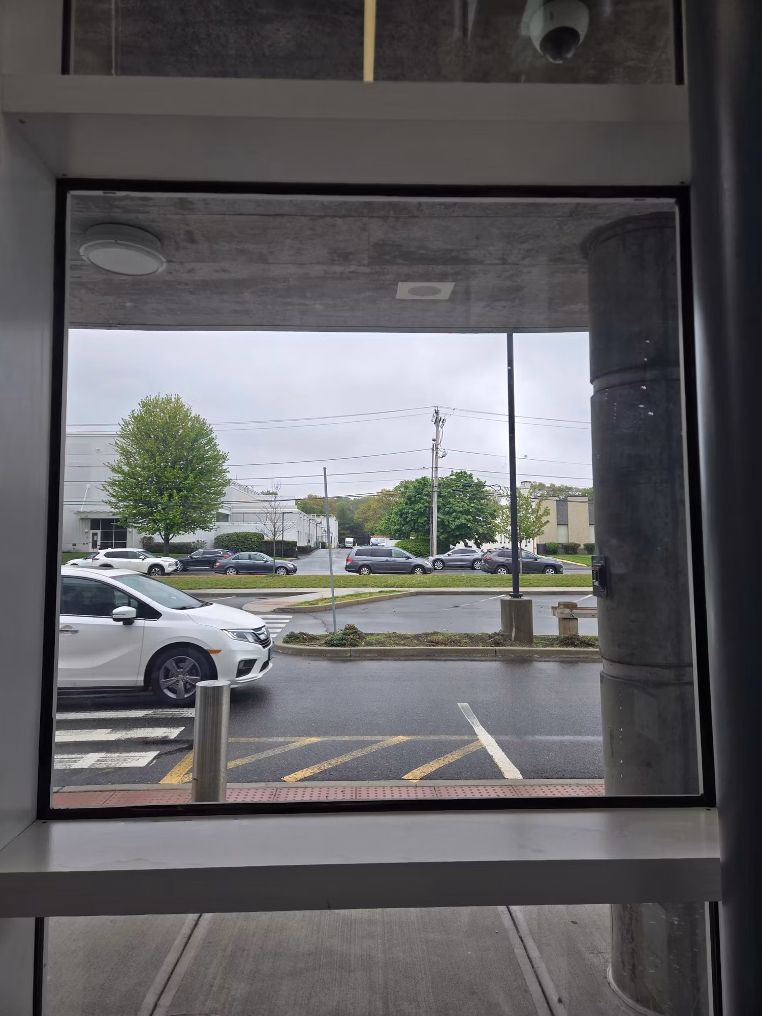 View through a commercial window out to a parking lot with cars and trees on an overcast day.