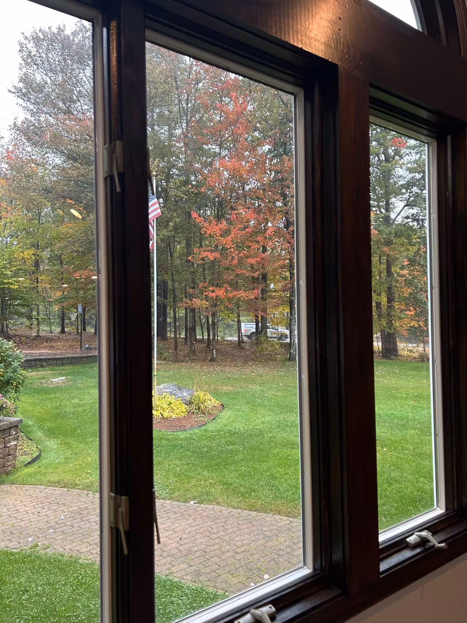 Interior view of dark-framed casement windows overlooking a backyard lawn and autumn trees.