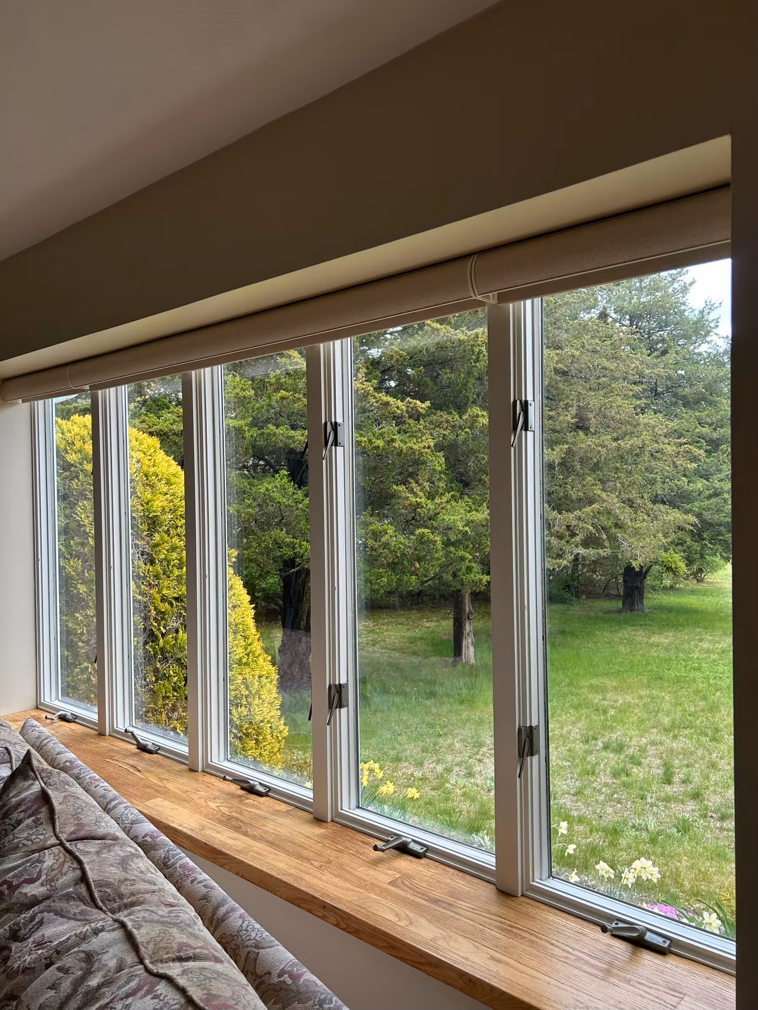 A bank of tall casement windows above a cushioned window seat, looking out onto a wooded backyard.