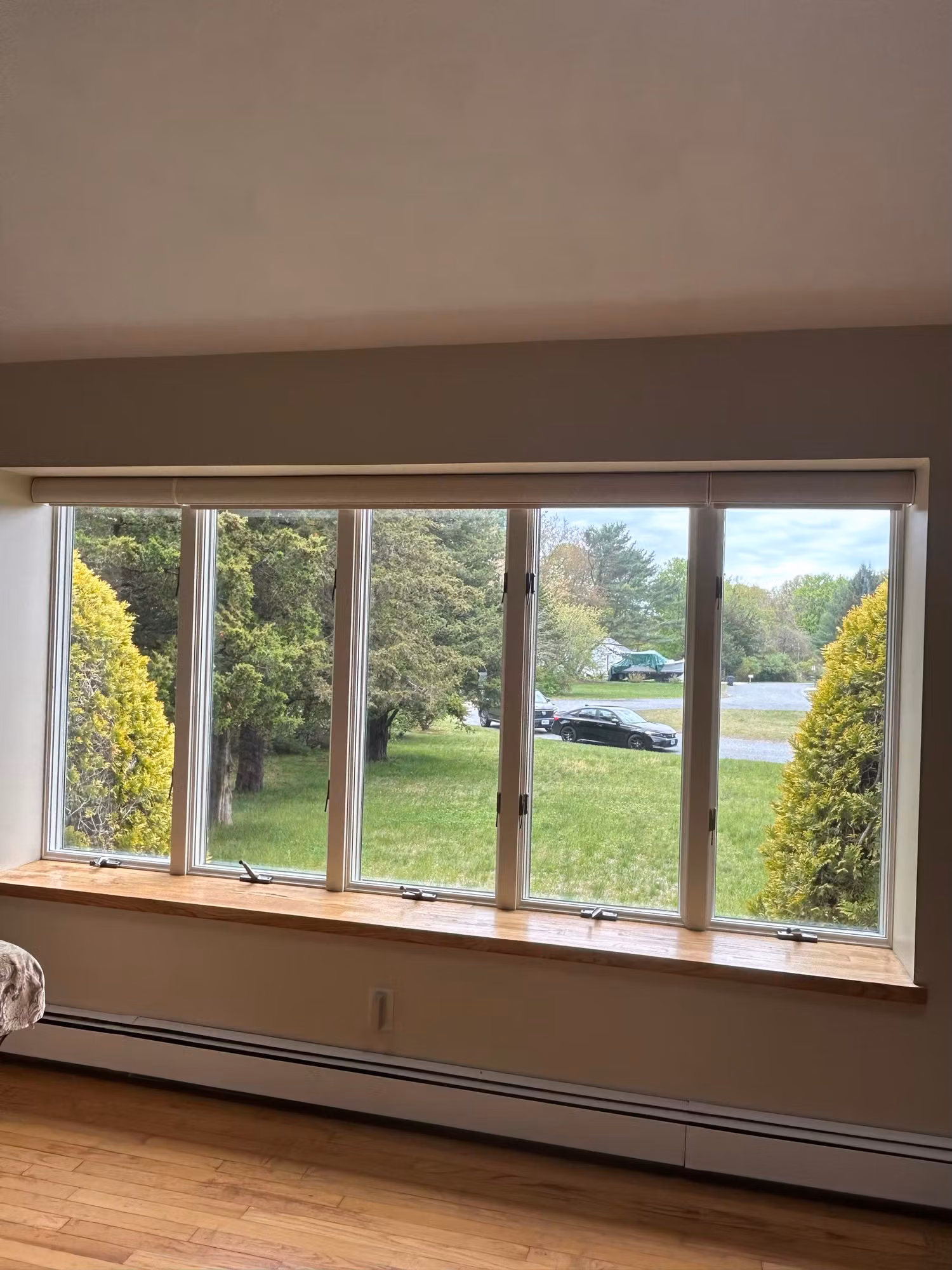 A wide five-pane picture window over a wood sill and baseboard heater, overlooking a sunny backyard.