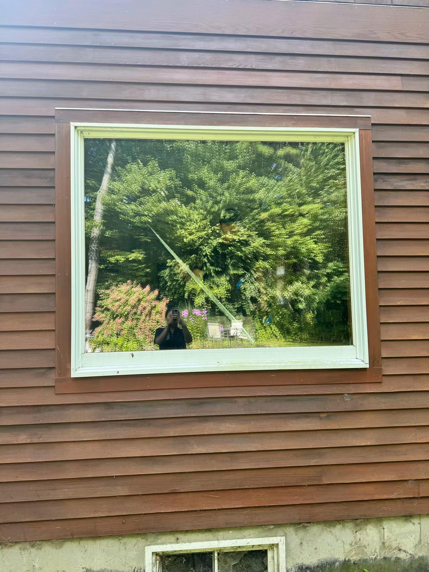 Exterior picture window with reflective solar film on brown clapboard siding mirroring the surrounding greenery.