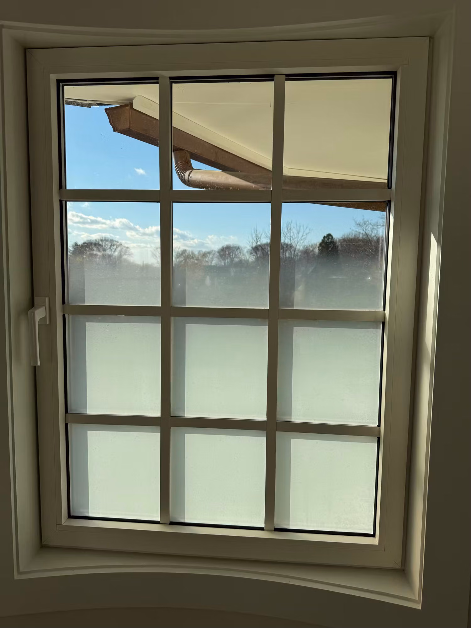 Divided-light grid window with frosted privacy film on the lower panes and clear upper panes showing sky and trees.