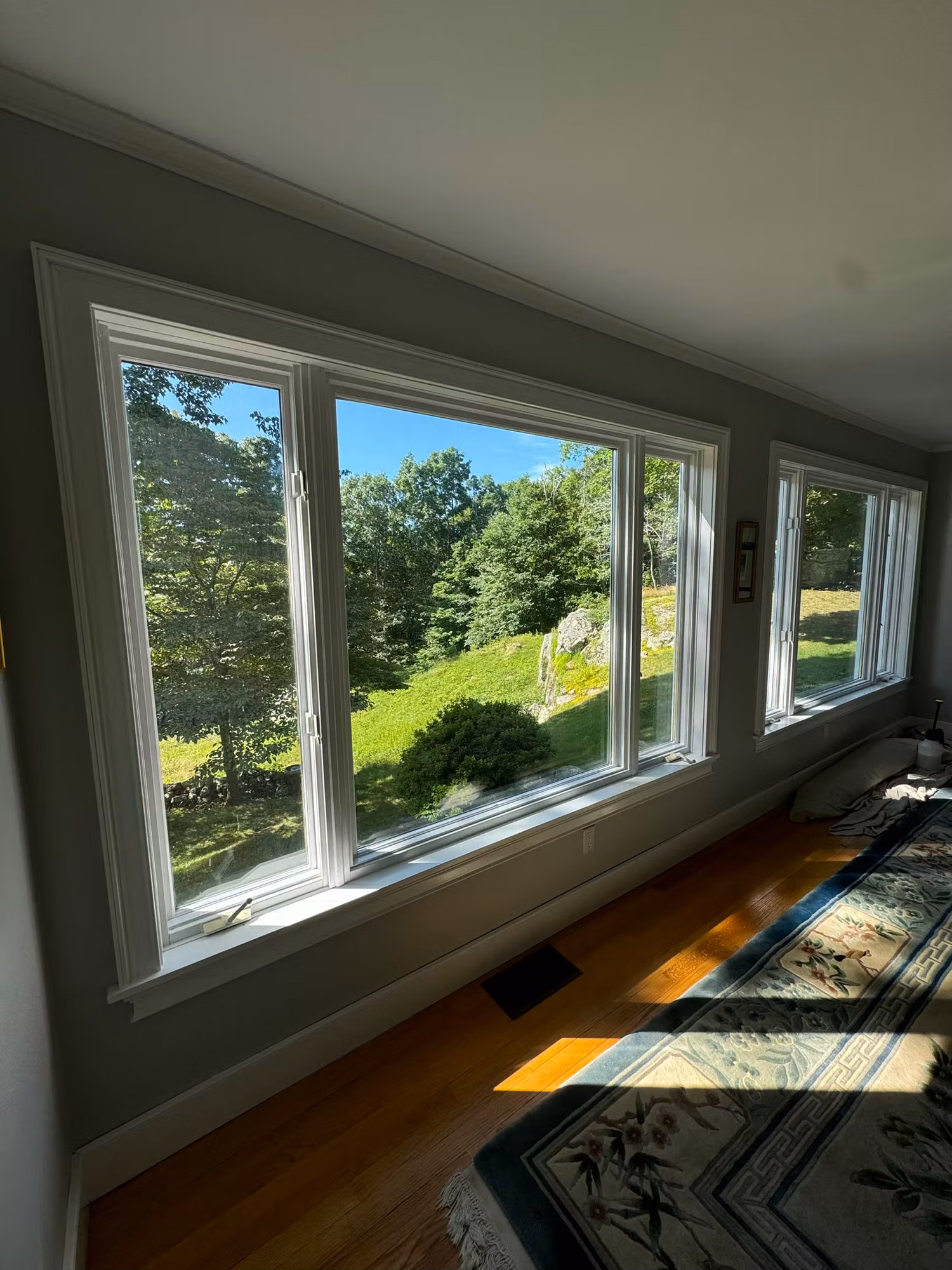 Long bank of bedroom windows with window film overlooking a green wooded lawn, hardwood floor below.