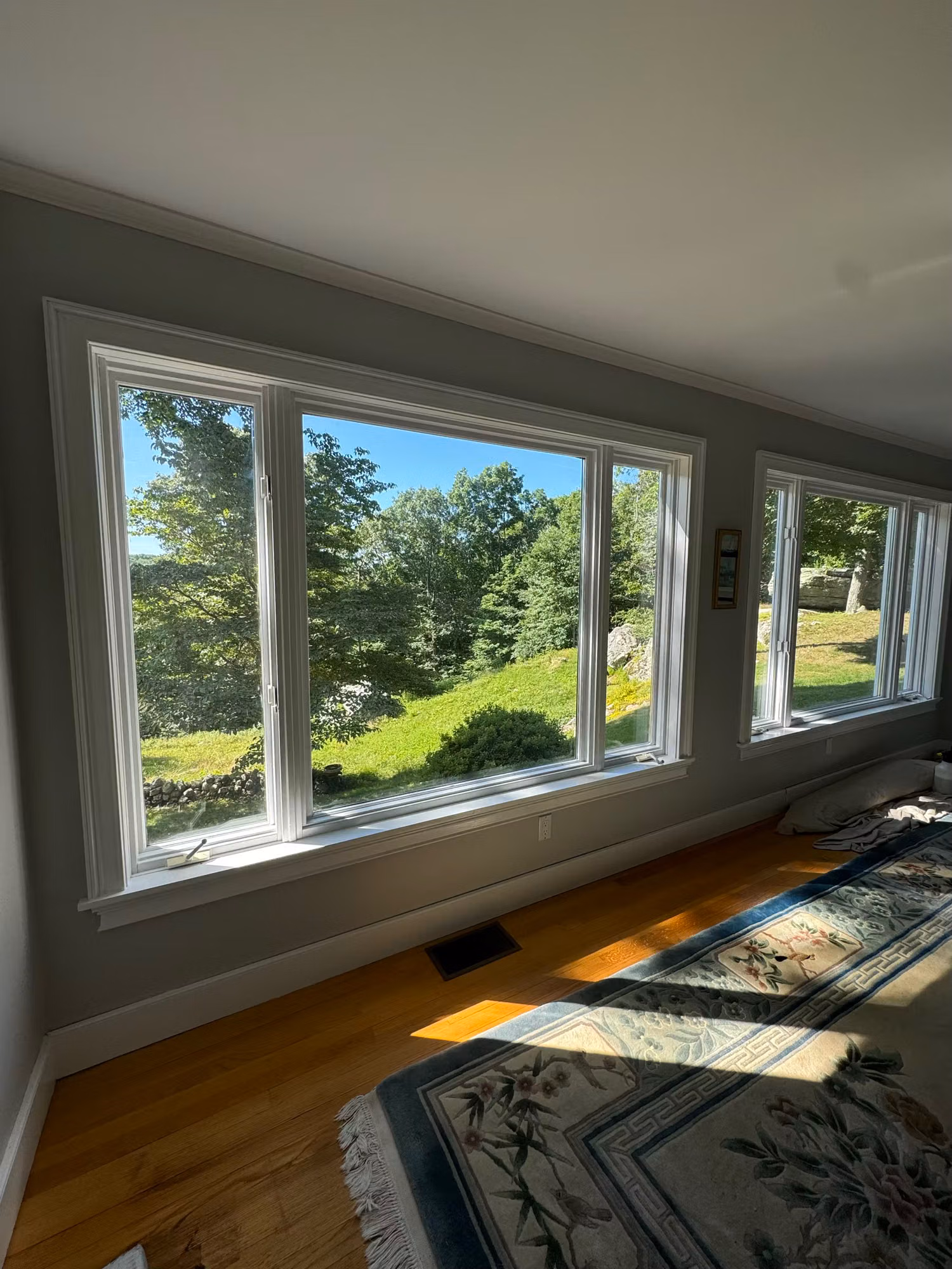 Row of bedroom windows fitted with film, looking out over a sunny lawn and trees from a hardwood-floored room.