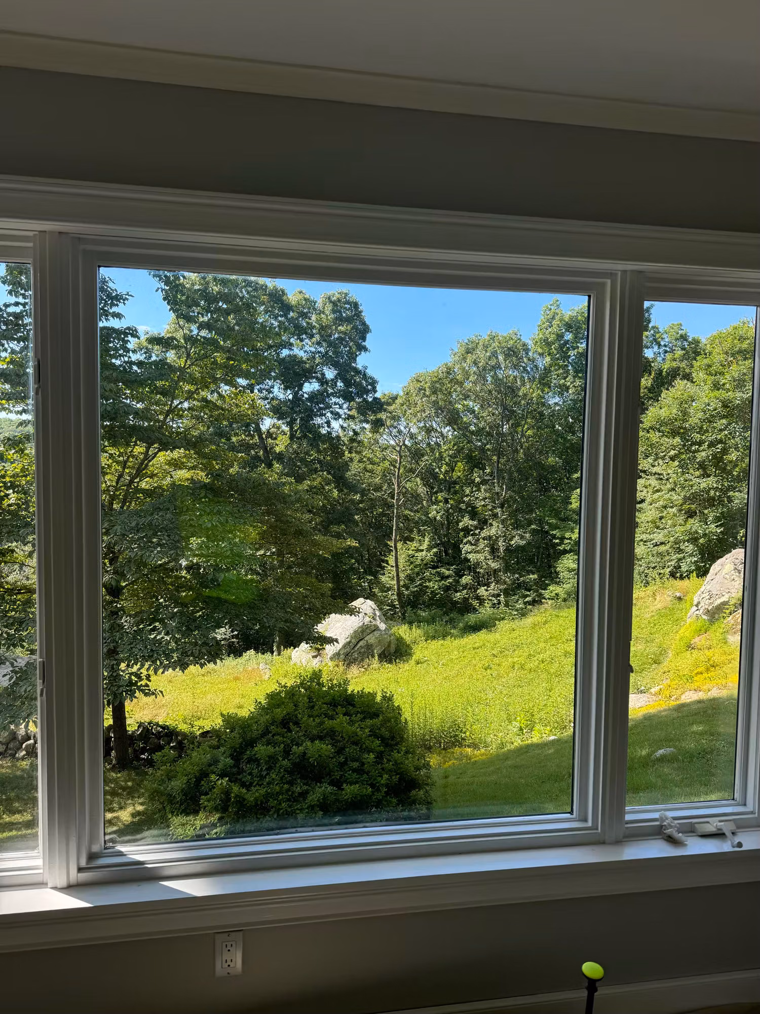 Picture window with window film showing a clear view of a green lawn, shrubs and surrounding trees.