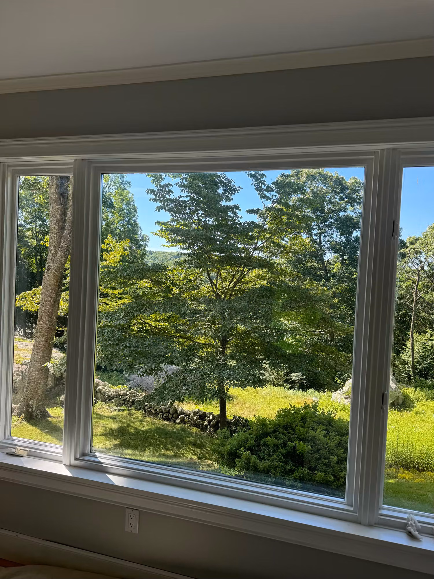 Picture window with film looking out on a single tree, stone wall and sunlit backyard lawn.