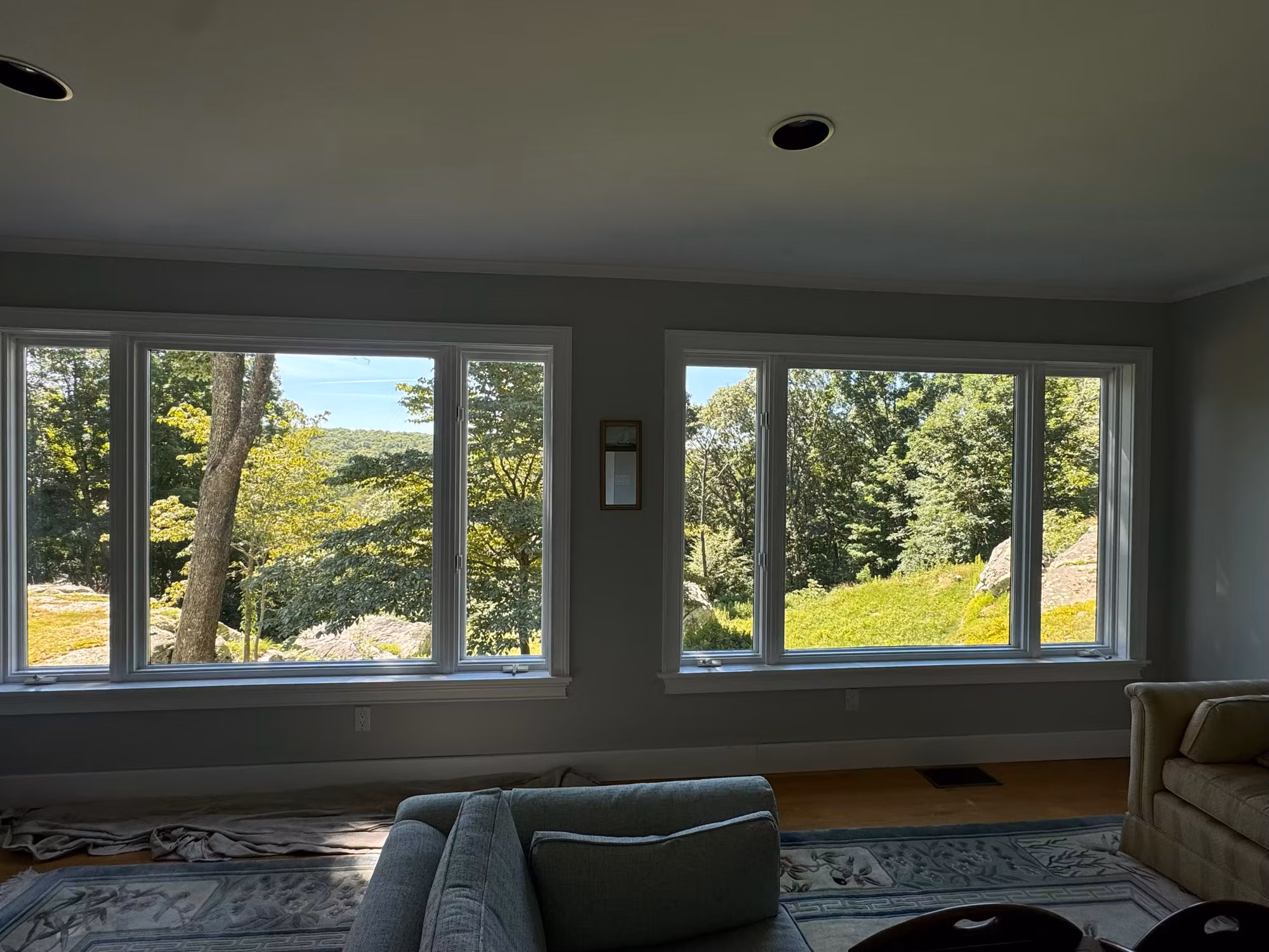 Living room with two banks of windows fitted with film, sofa and rug below a wooded hillside view.