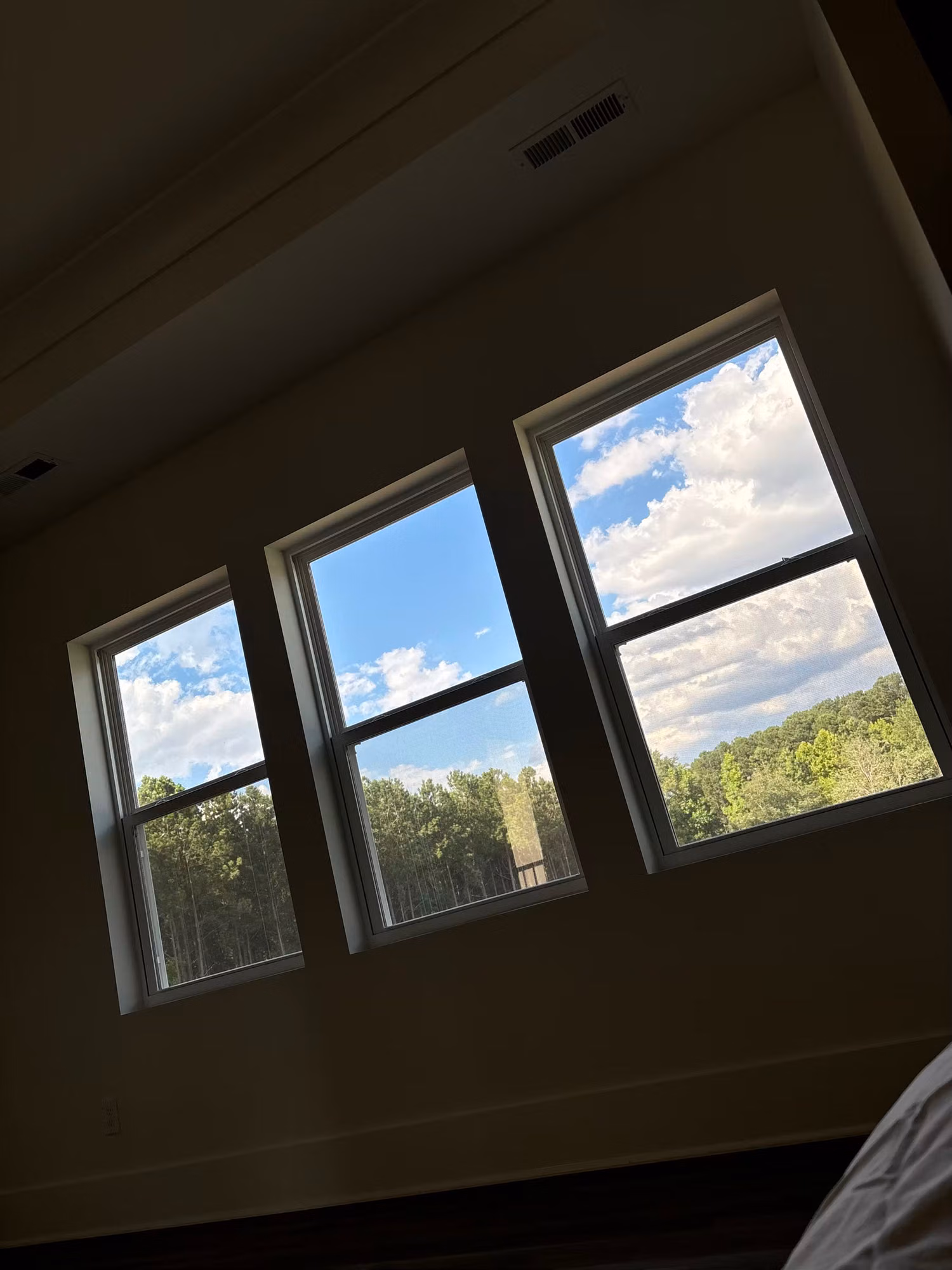 Three vaulted bedroom windows with window film overlooking a wooded backyard and bright cloudy sky.