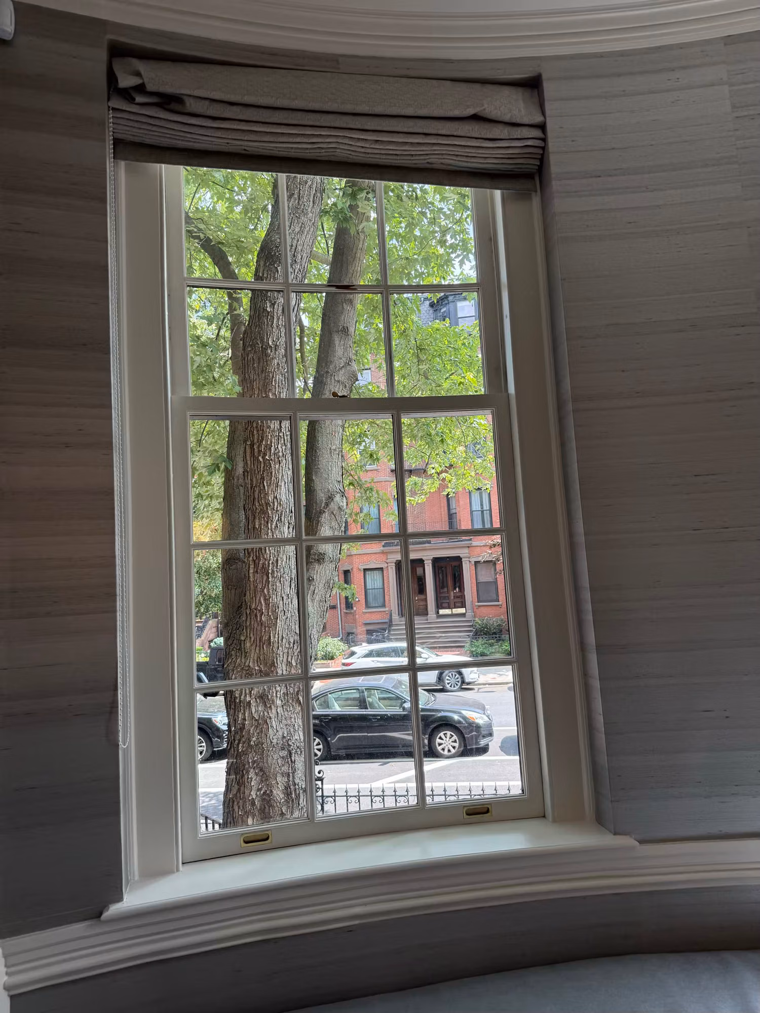 Single tall divided-light double-hung window in a curved bay overlooking a tree-lined street.