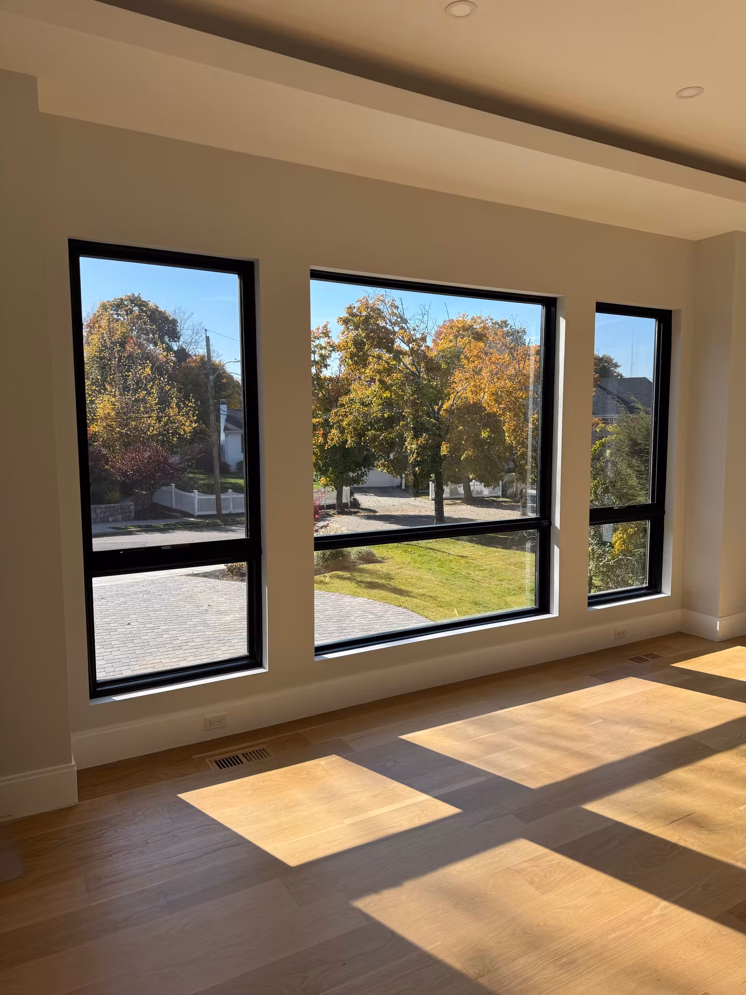 Wide black-framed living room windows overlooking a tree-lined neighborhood after film service.