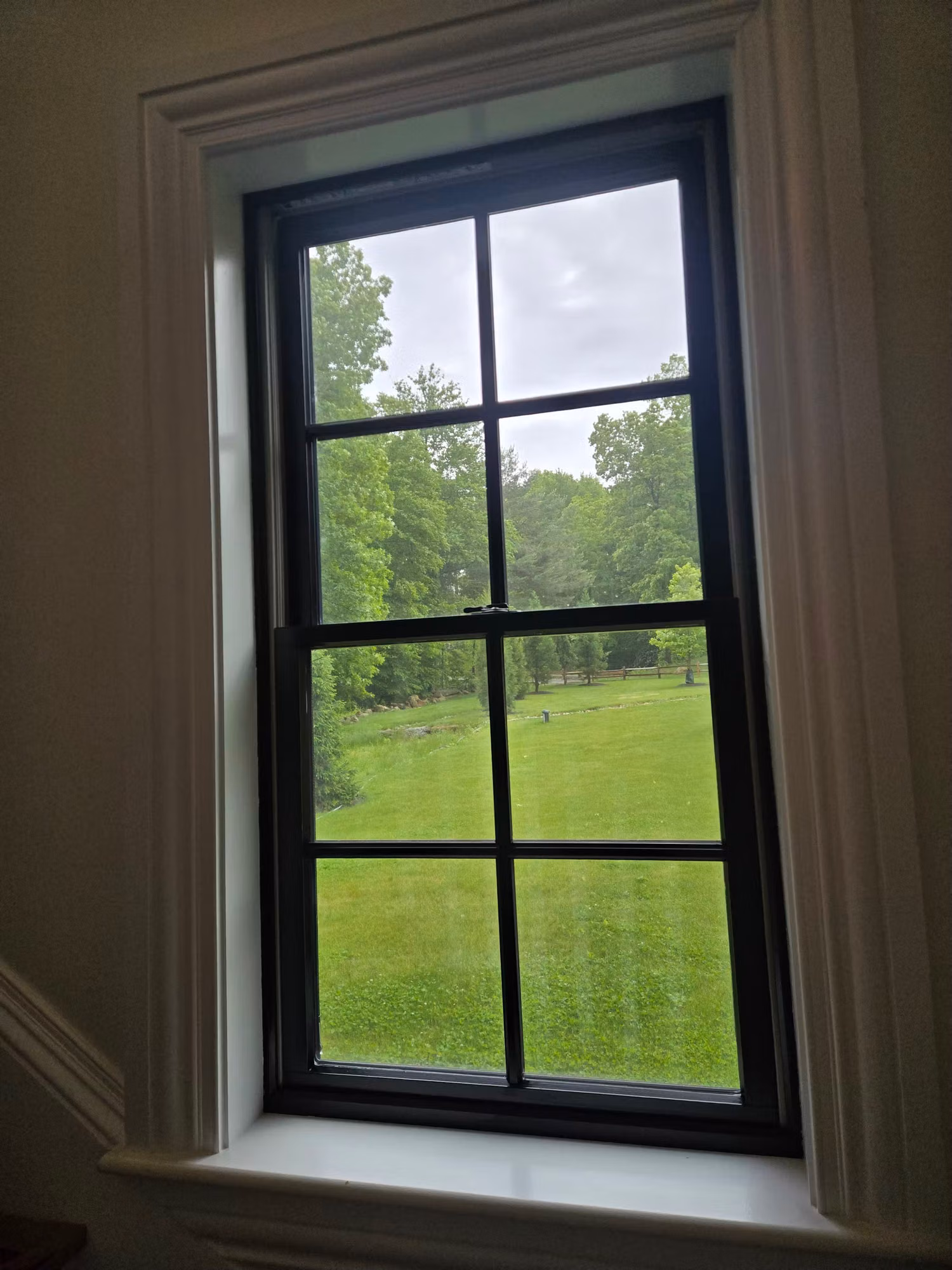 Interior double-hung window with black grilles and white trim overlooking a green lawn, fitted with clear safety film.