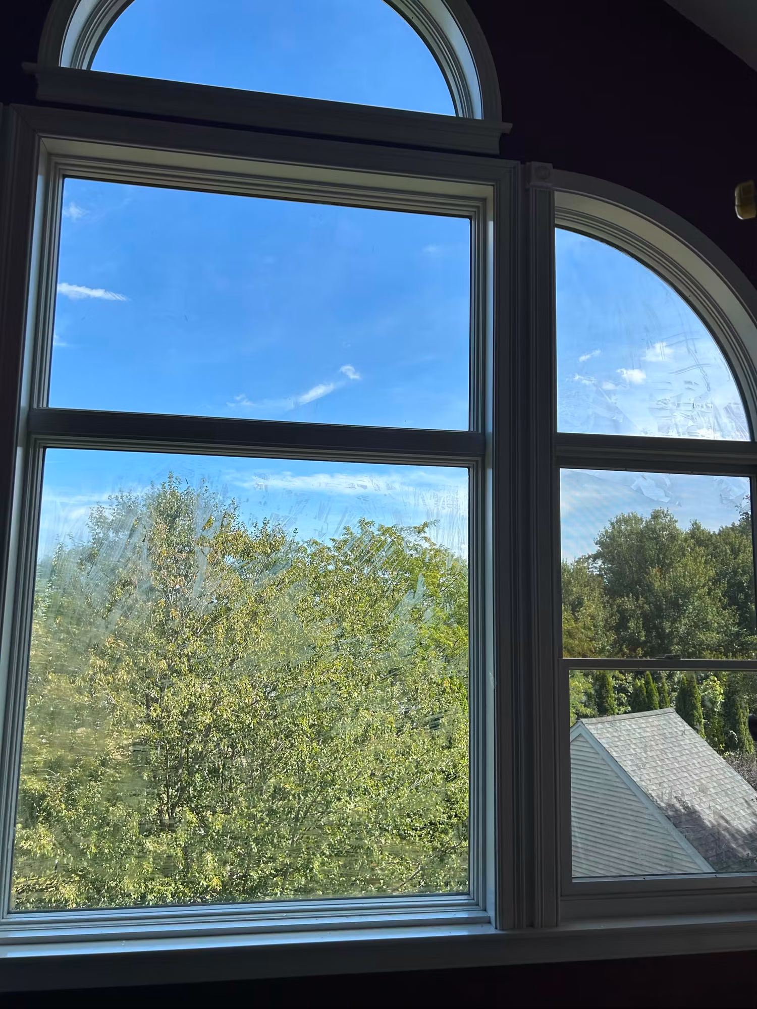 Arched-top double-hung home window with film on the glass, overlooking trees and a rooftop in daylight.