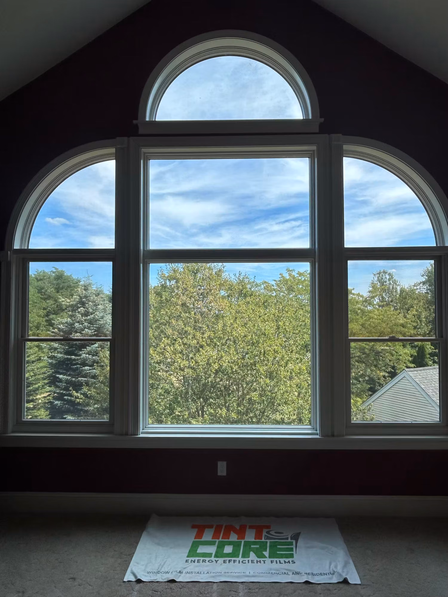 Vaulted bedroom with a tall arched palladian window unit and clear film looking out to trees.