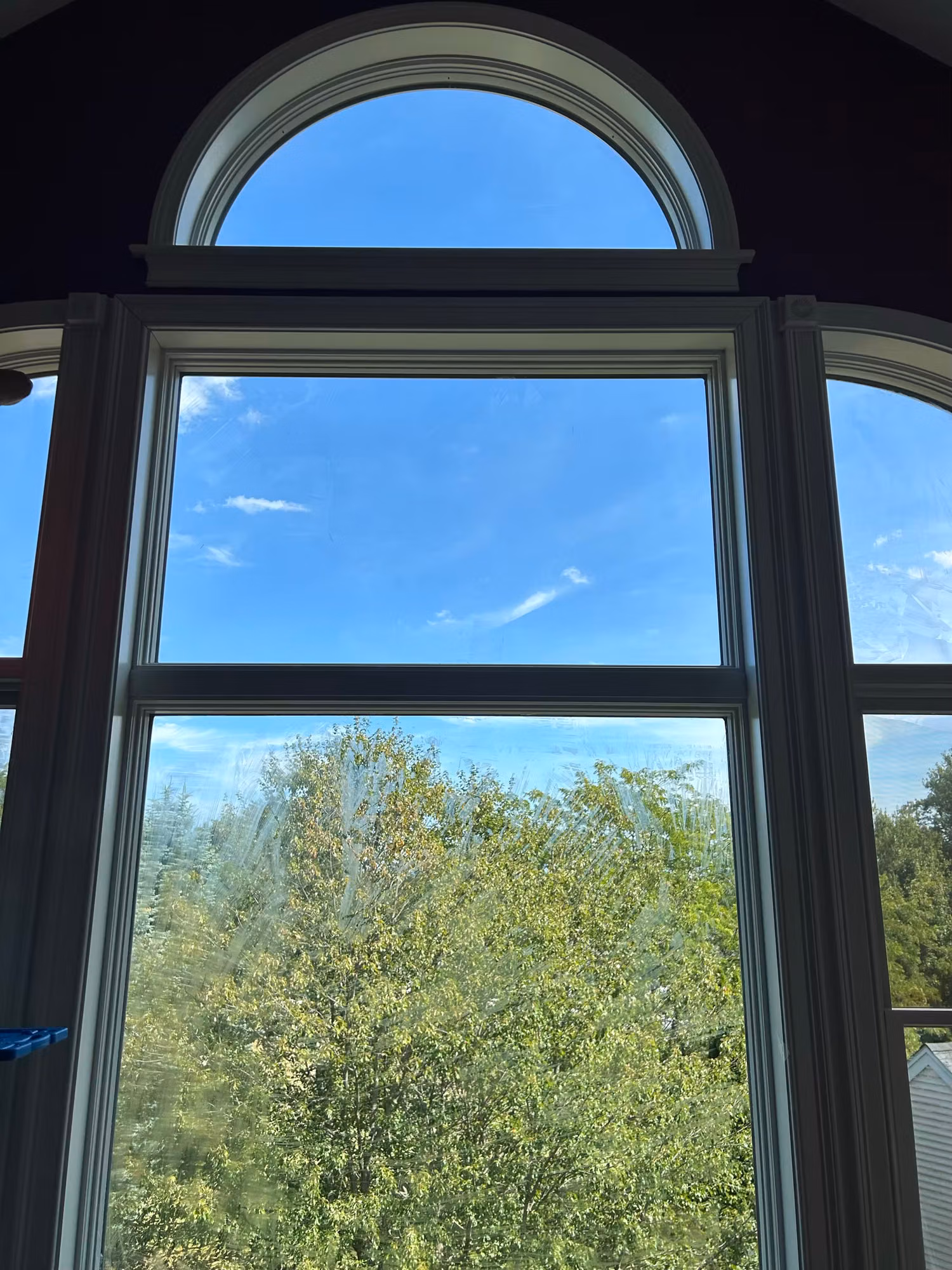 Large arched picture window with window film applied, framing a bright sky and treetops from inside the home.