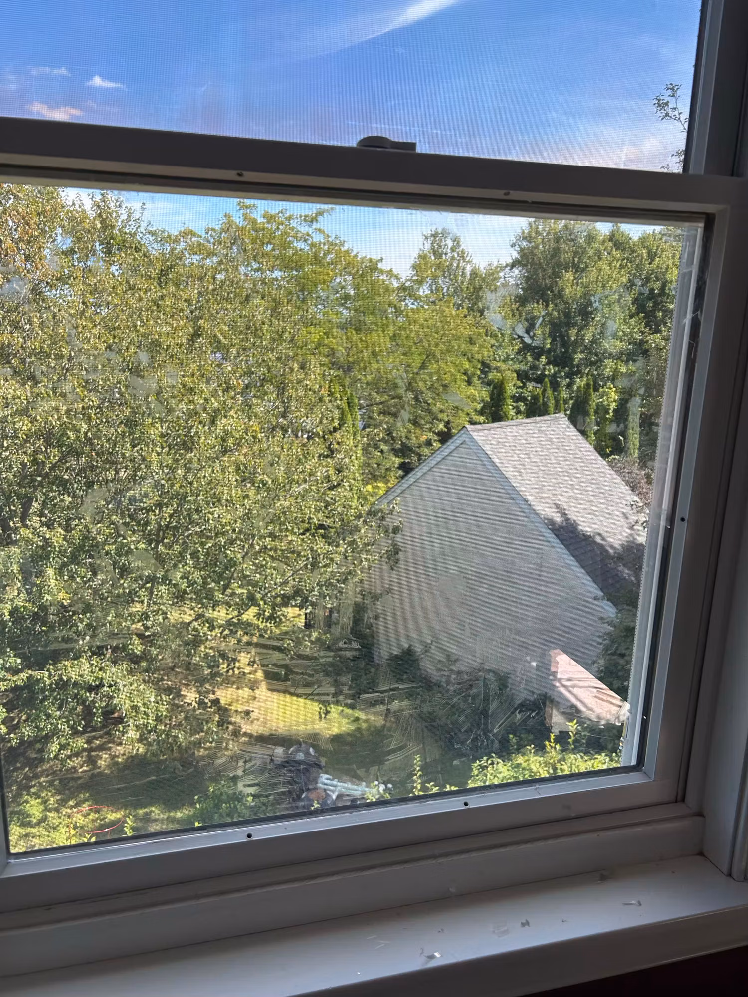 Picture window with clear film looking out over trees toward a neighboring house and yard.