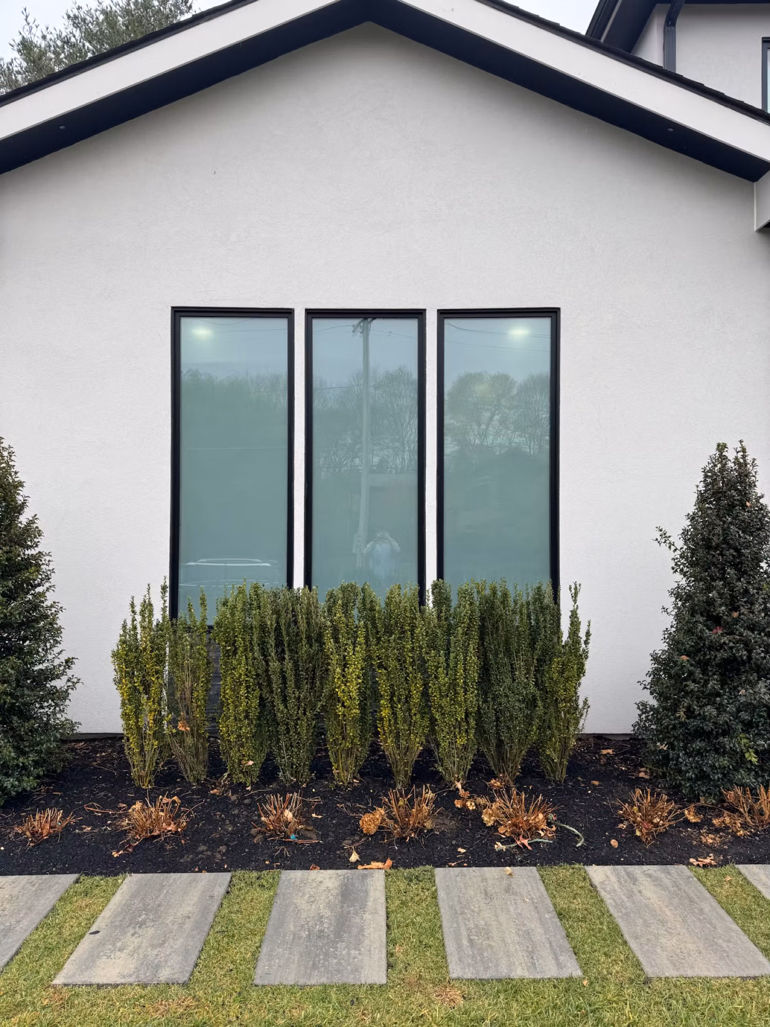 Exterior view of three slim black-framed vertical windows on a white home with landscaped shrubs below.